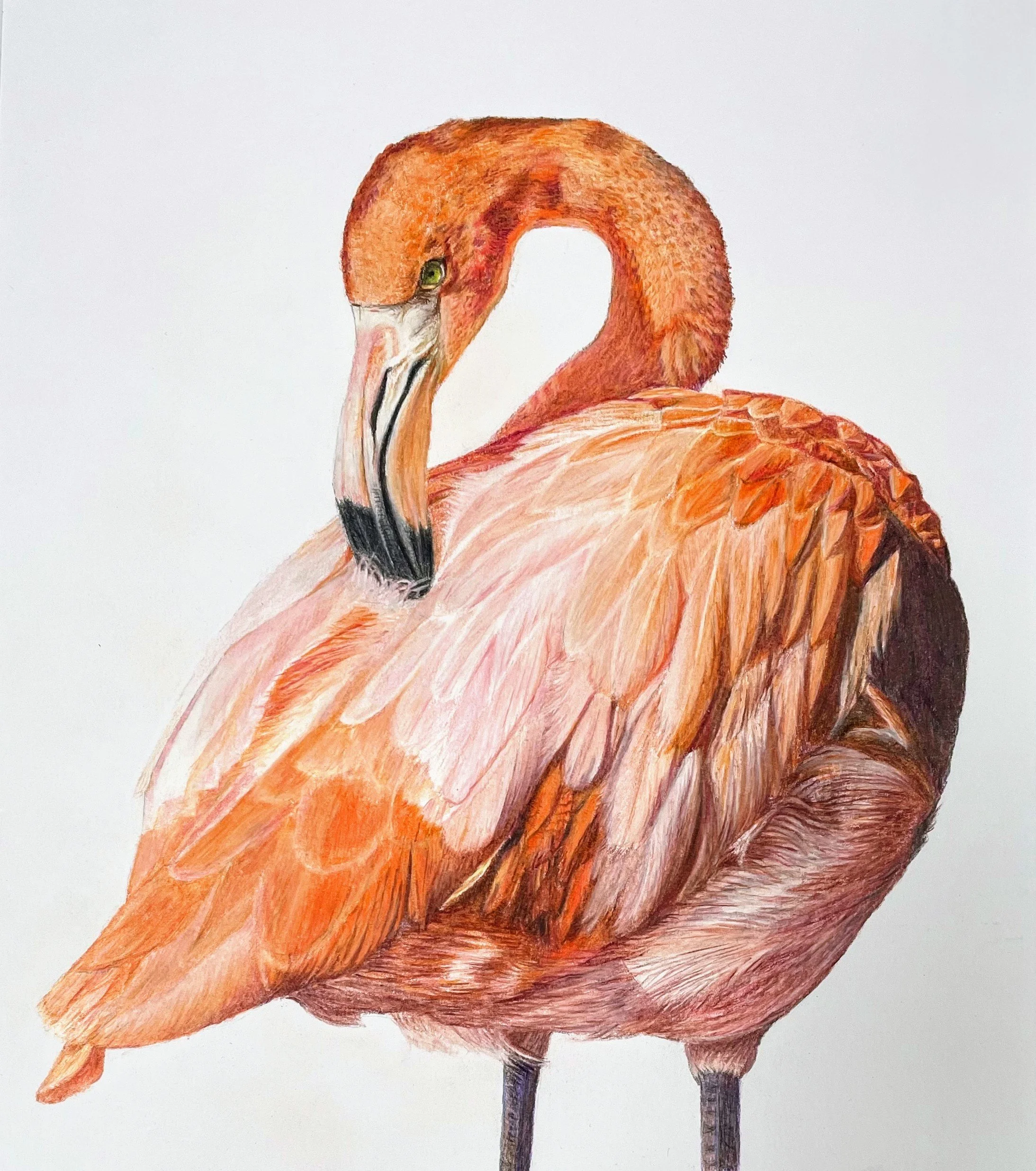 Mayne_Lesley_Do You Mind_Framed.jpg