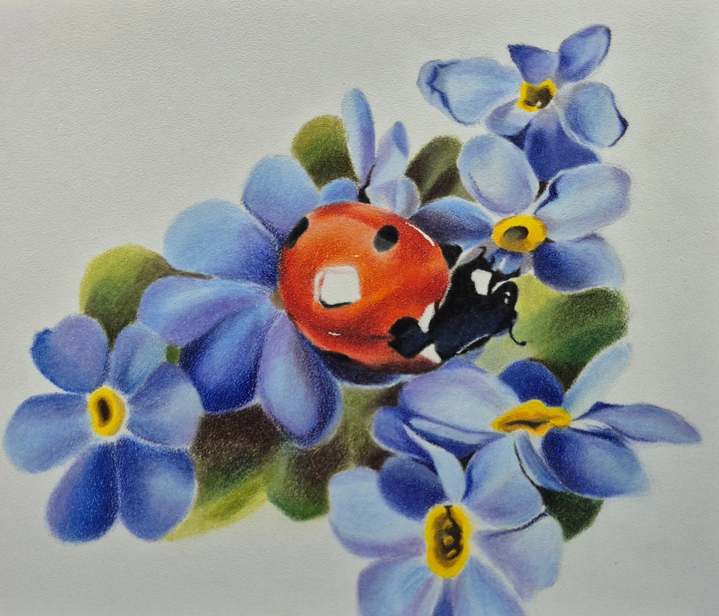 Moore_Jamie_Busy Bug_framed.jpg