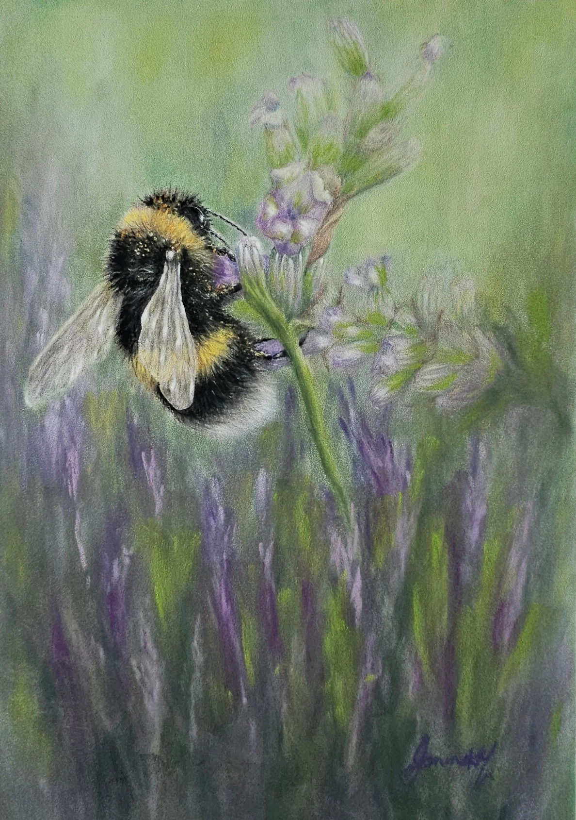 Mount_Janine_Lavender Treasure_framed.jpg