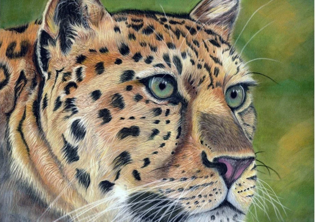 Quartermaine_Linda_Amur Leopard_framed.jpg