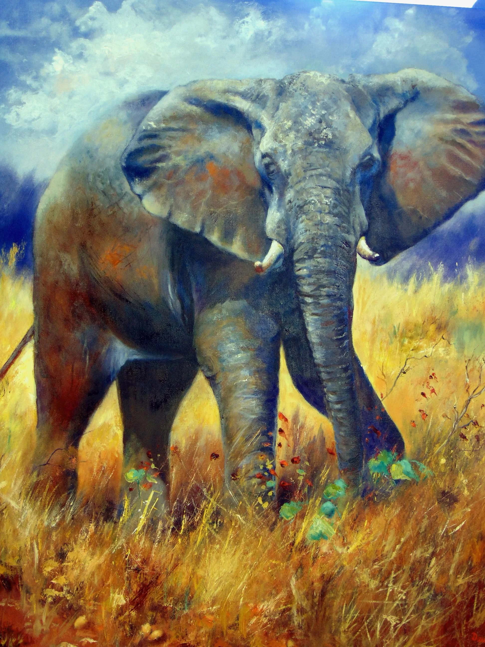 Russell_Dawn_AFRICAN ELEPHANT_framed.jpg