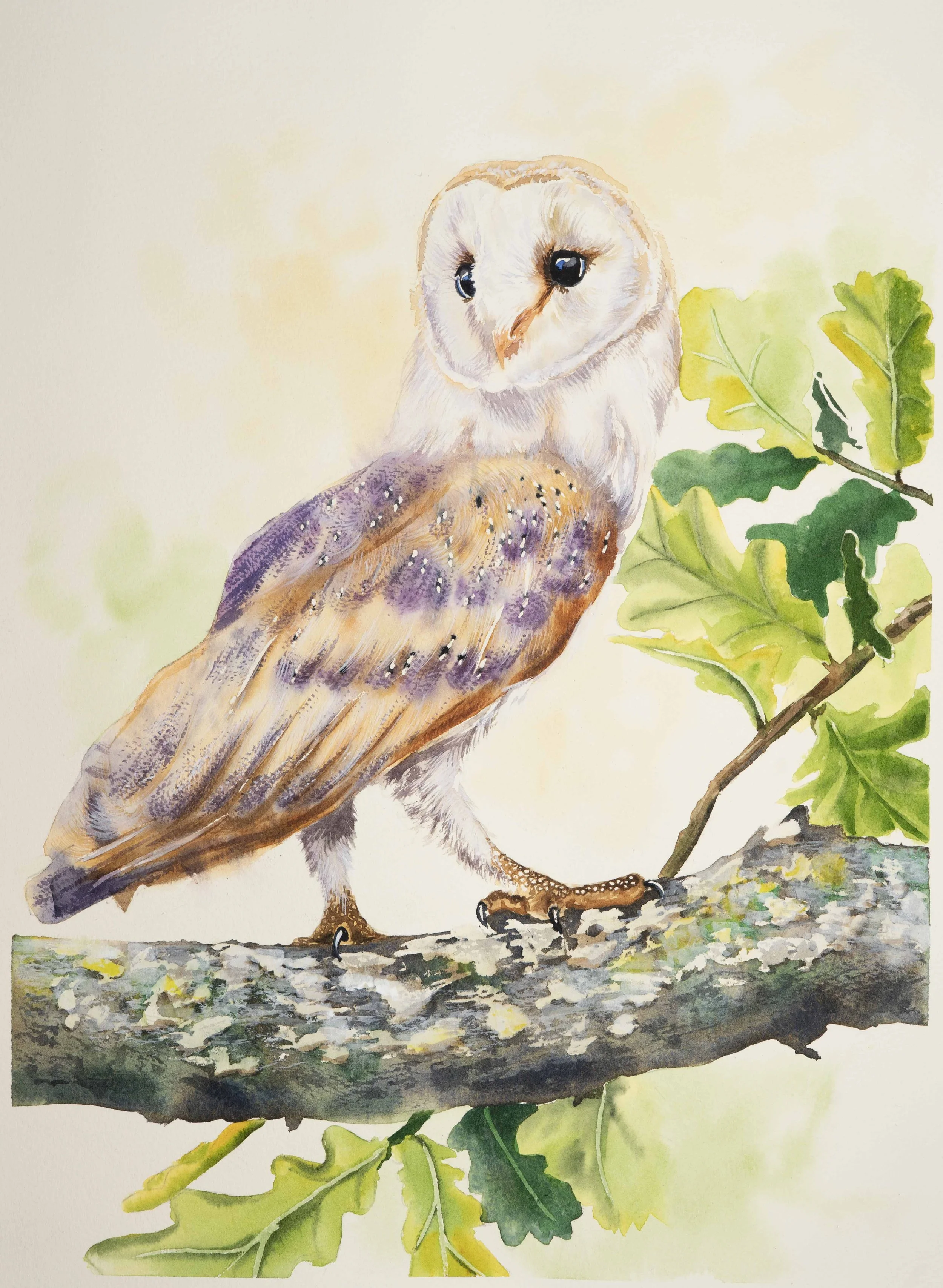 Skorka_Katharine_Perched in spring Oak_Framed.jpg