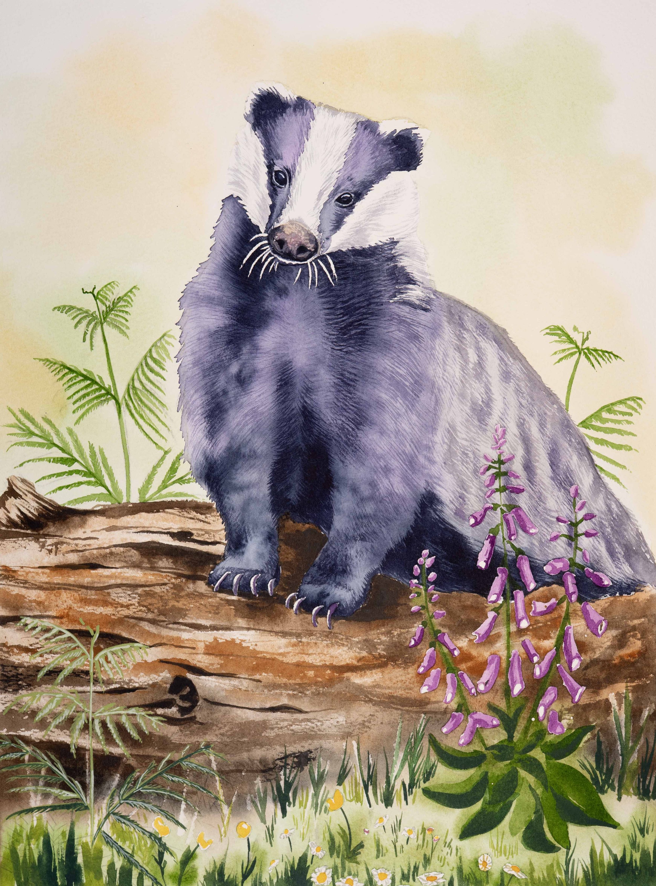 Skorka_Katharine_Woodland Watcher_Framed_8623.jpg