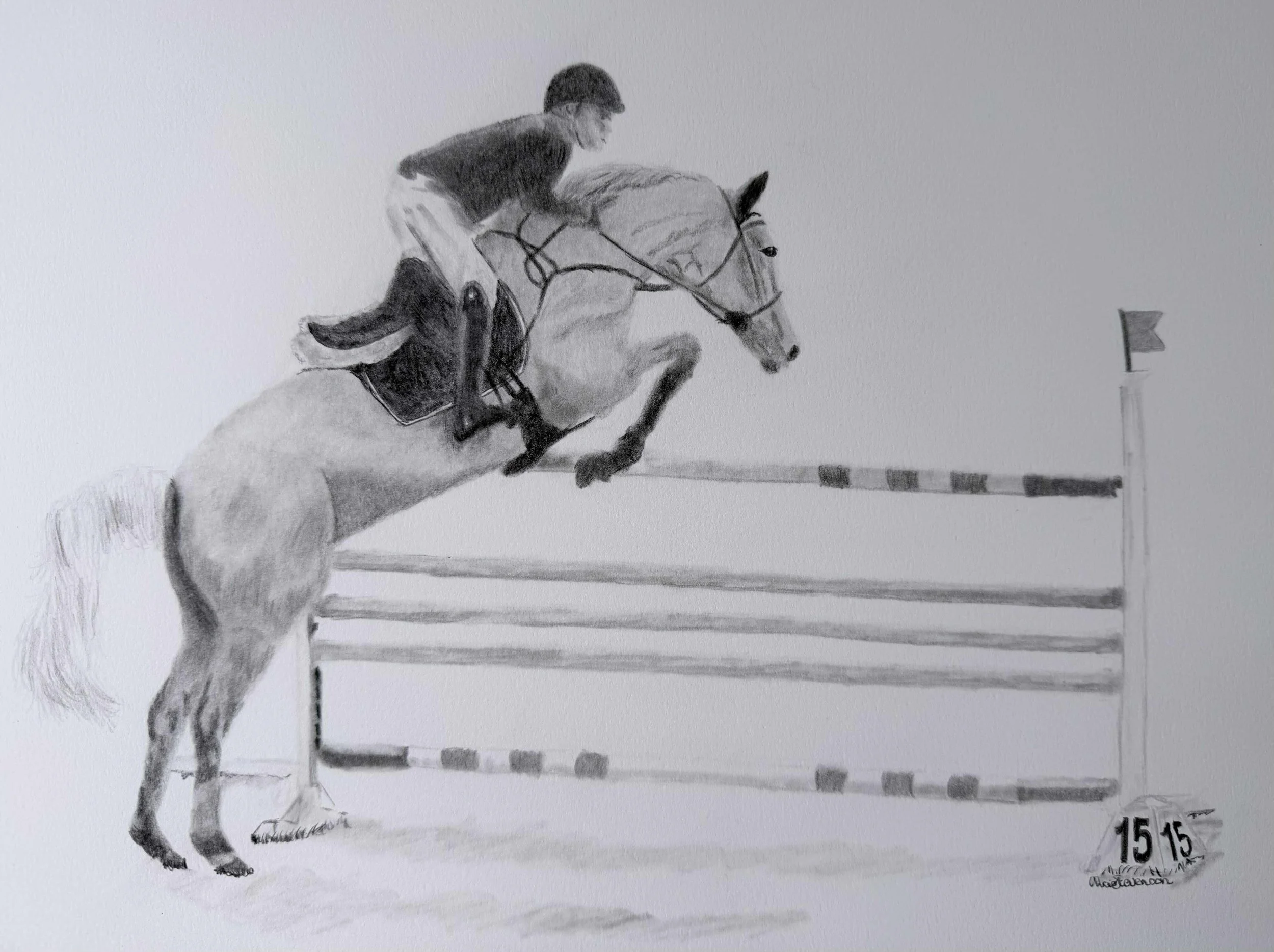 Stevenson_Christopher_Show Jumper_framed.jpg