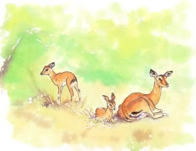 Stroud_Jaci_Together_framed - Copy.jpg