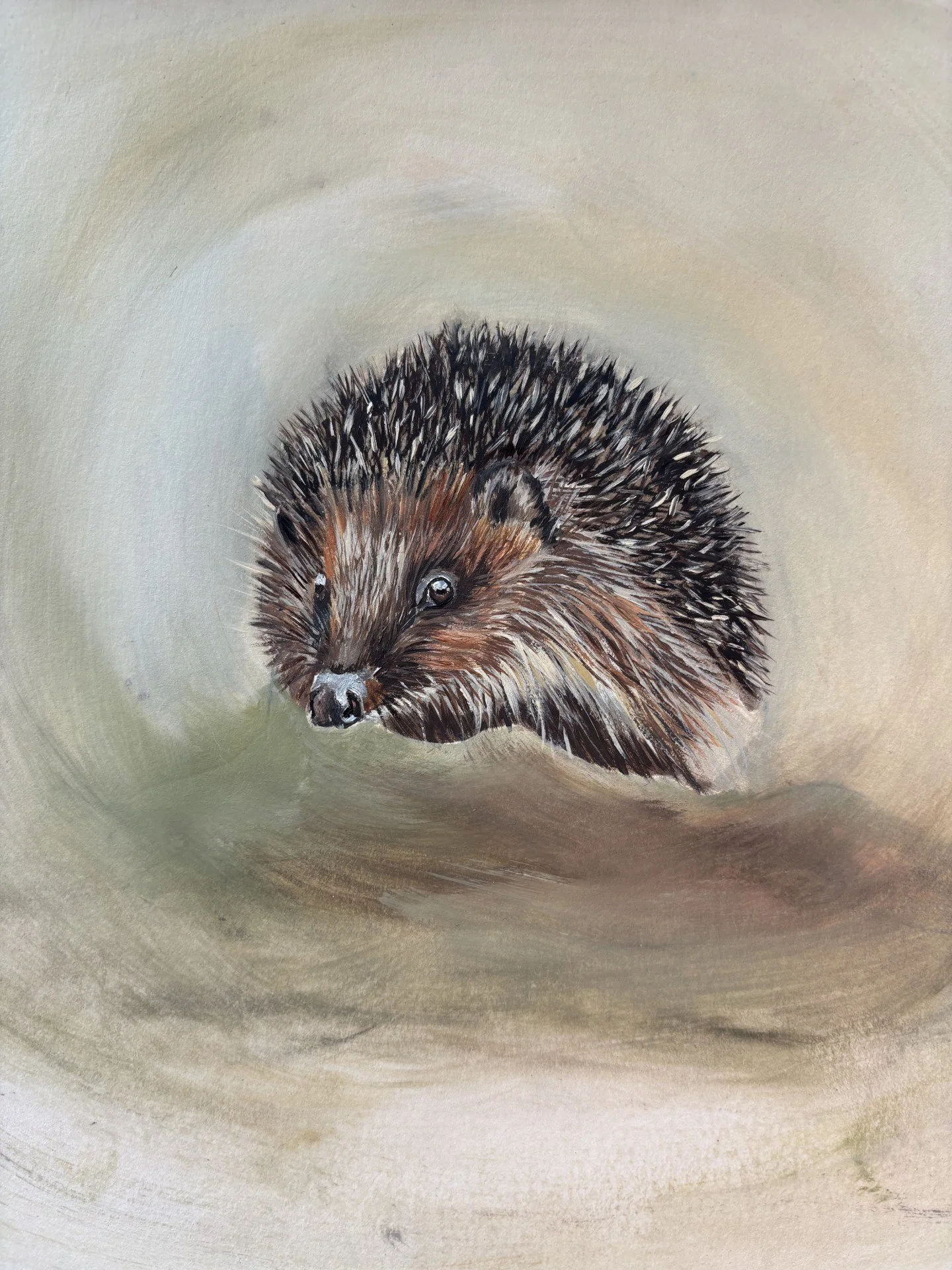 Swinden_Lucy_Hedgehog_Framed - Copy.jpg