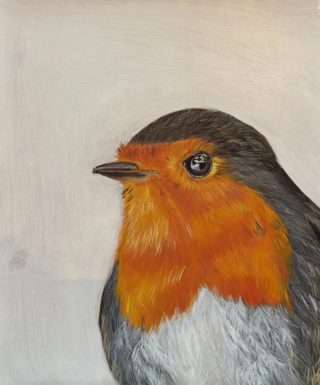 Swinden_Lucy_Robin_Framed - Copy.jpg