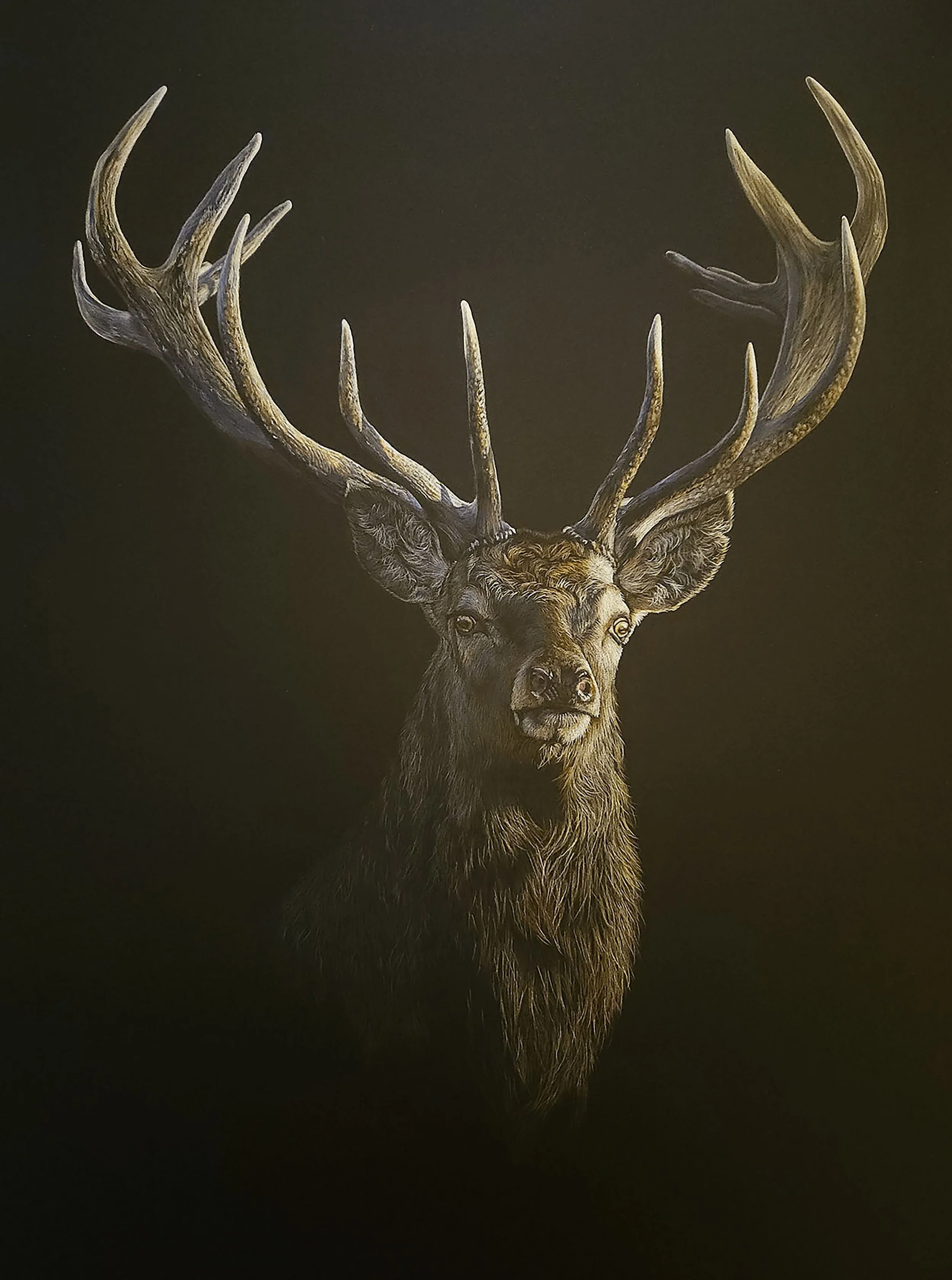 Warner_Tracy_Still-of-Night-Framed - Copy.jpg