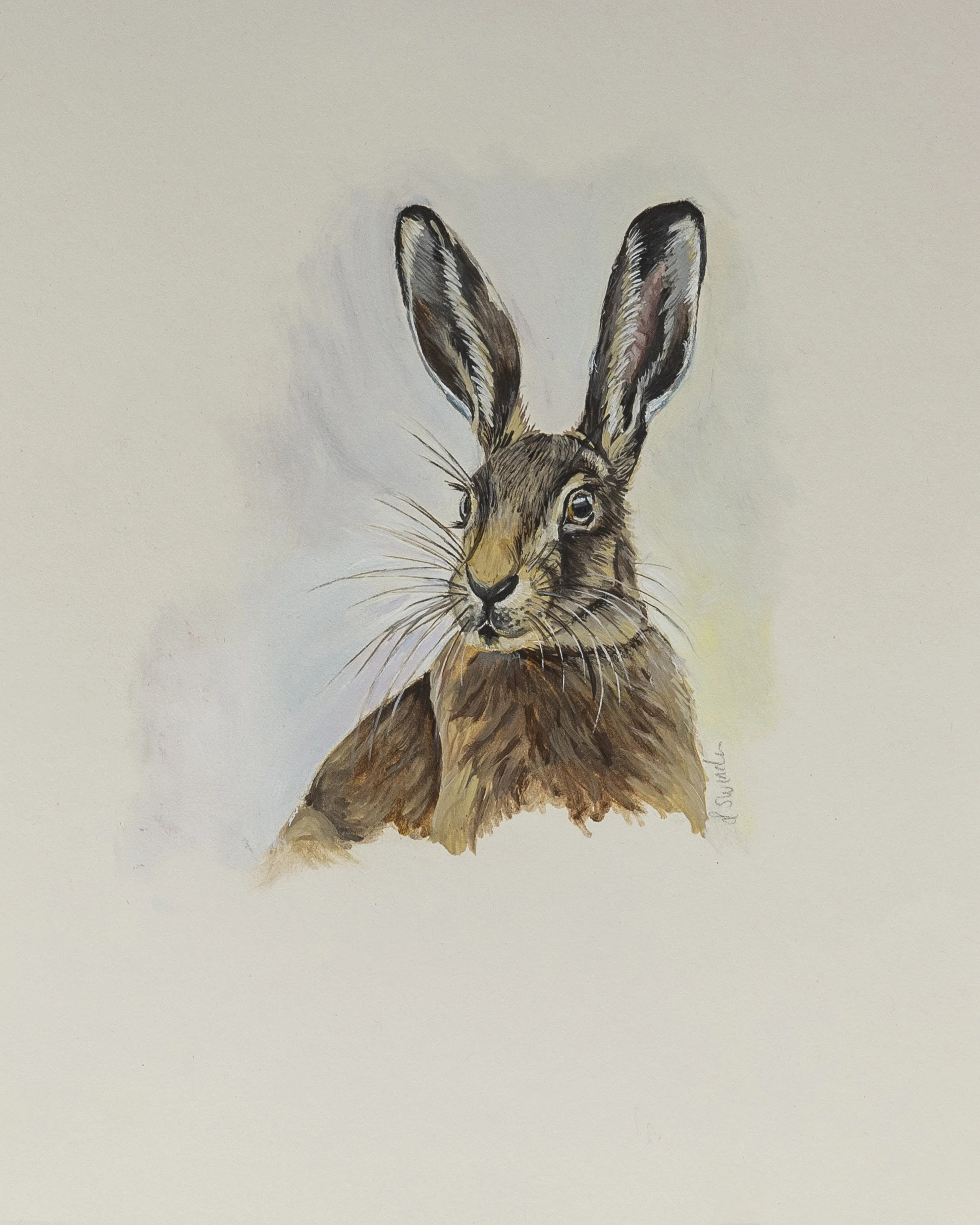 Swinden_Lucy_Wild Hare_Framed - Copy.jpg