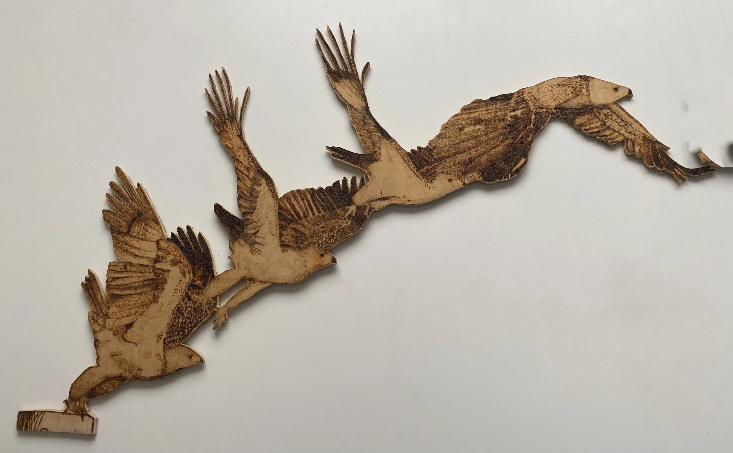 Werrett_Eleanor_Taking Flight_Framed_pyrography - Copy.jpg