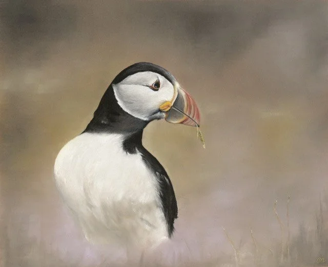 Wilkes_Jane_Peckishpuffin_Framed - Copy.jpg