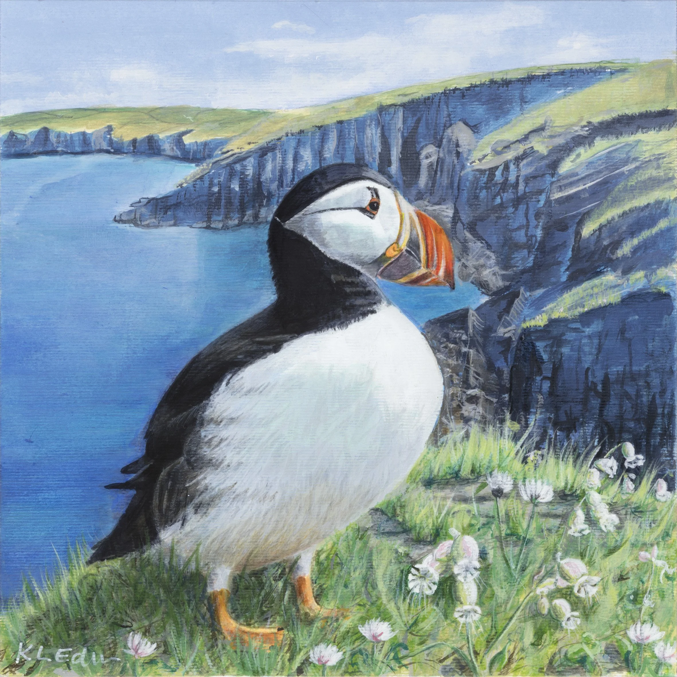 Edwards_Kim_Puffin_Acrylic_20x20cm.jpg