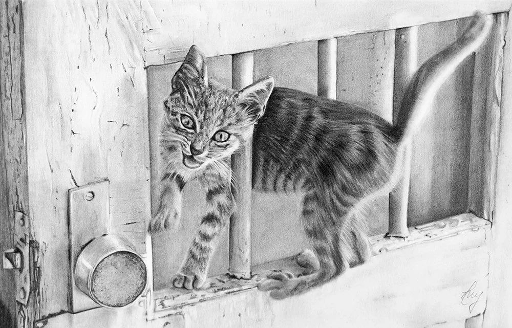 Eny_Orban_Juggler Cat_graphite_12x9in.jpg