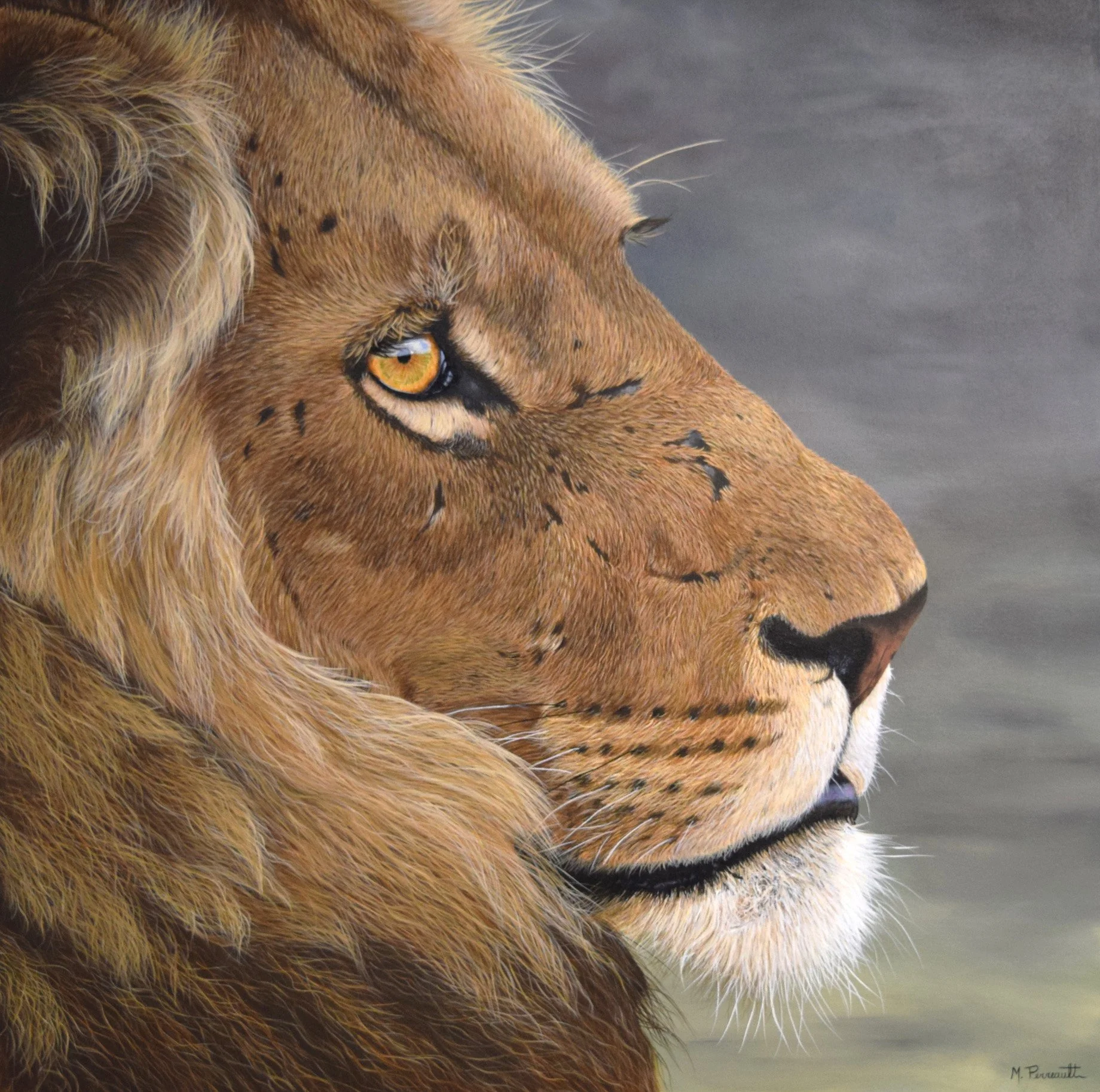 Perreault_Micheline_His-Majesty_Acrylic_36x36inches.JPG