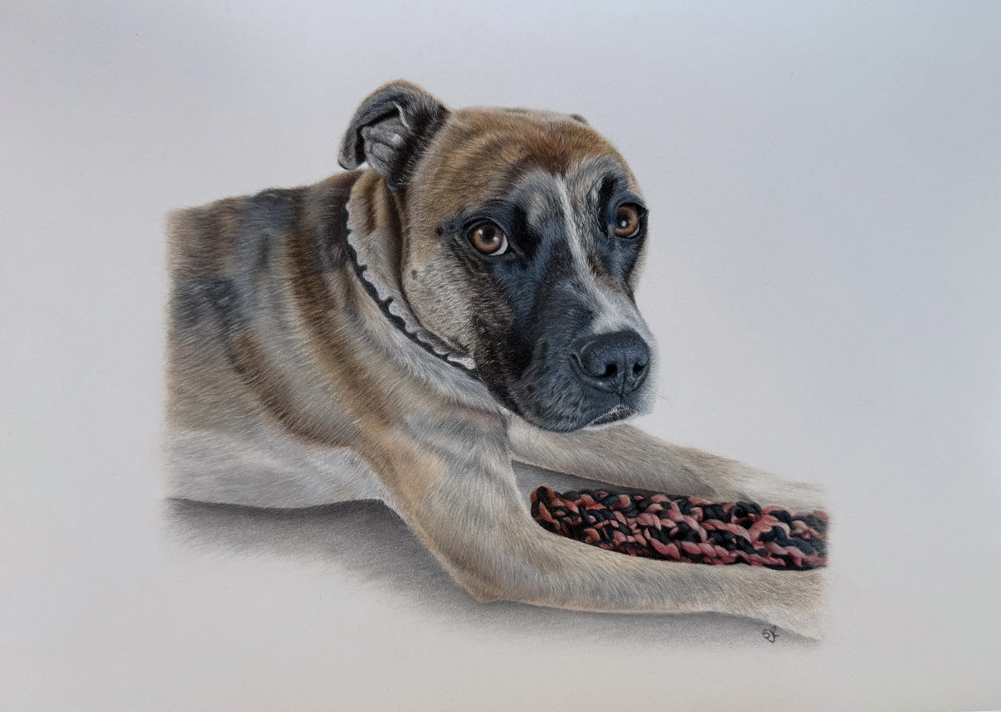 ROBERTS_SARAH-JAYNE_STANLEY_COLOURED PENCIL_35X25CM.jpg