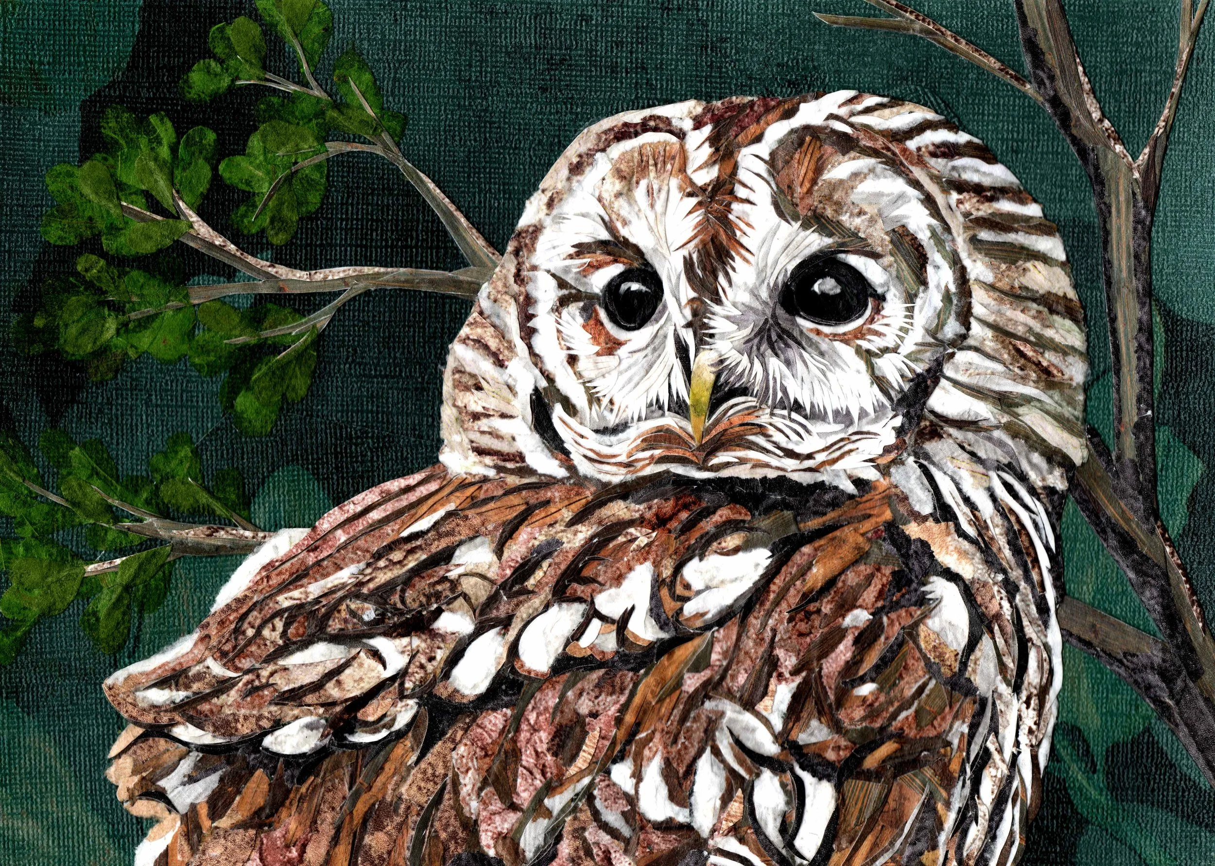 OSCAR THE OWL