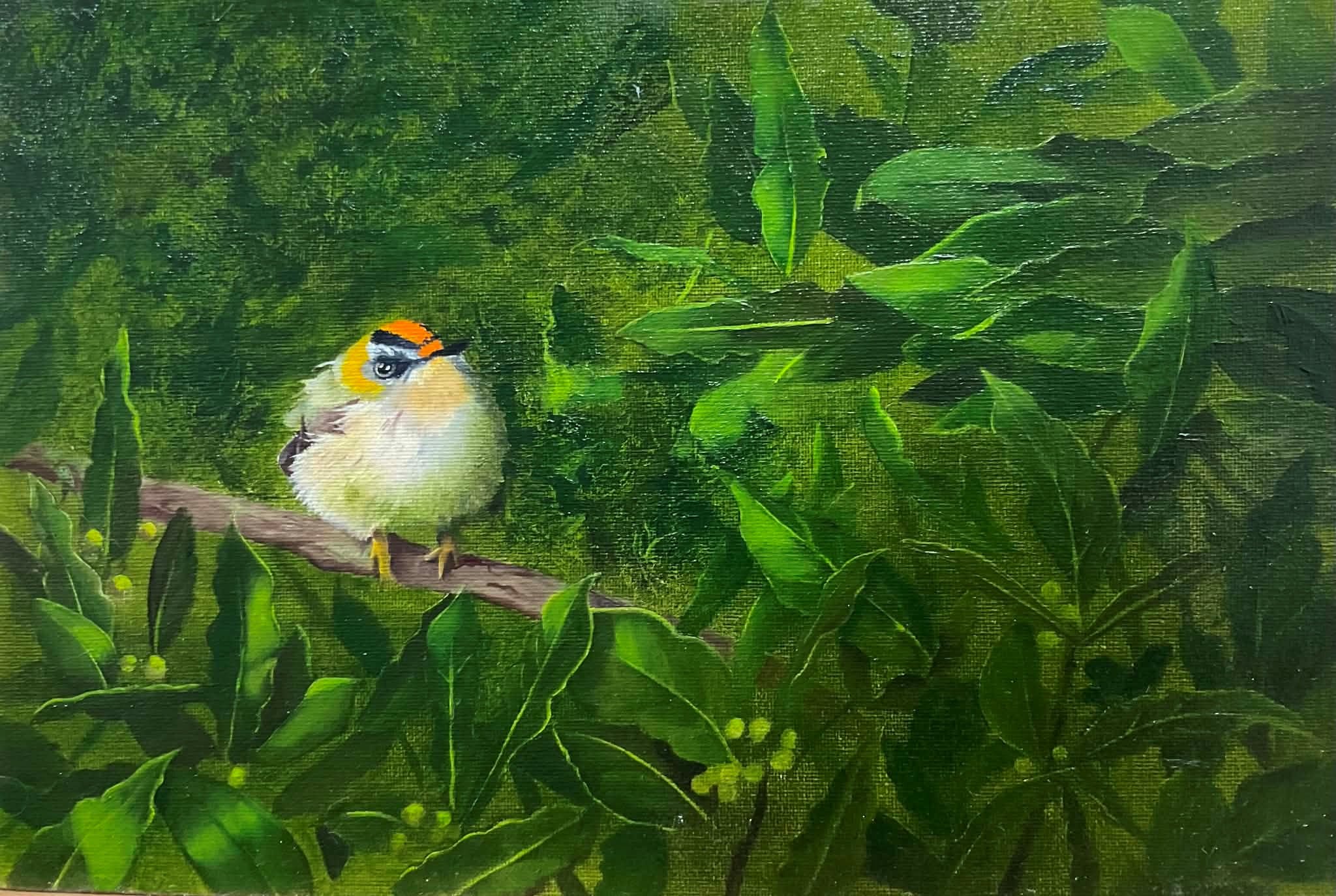 FIRECREST AND BAY