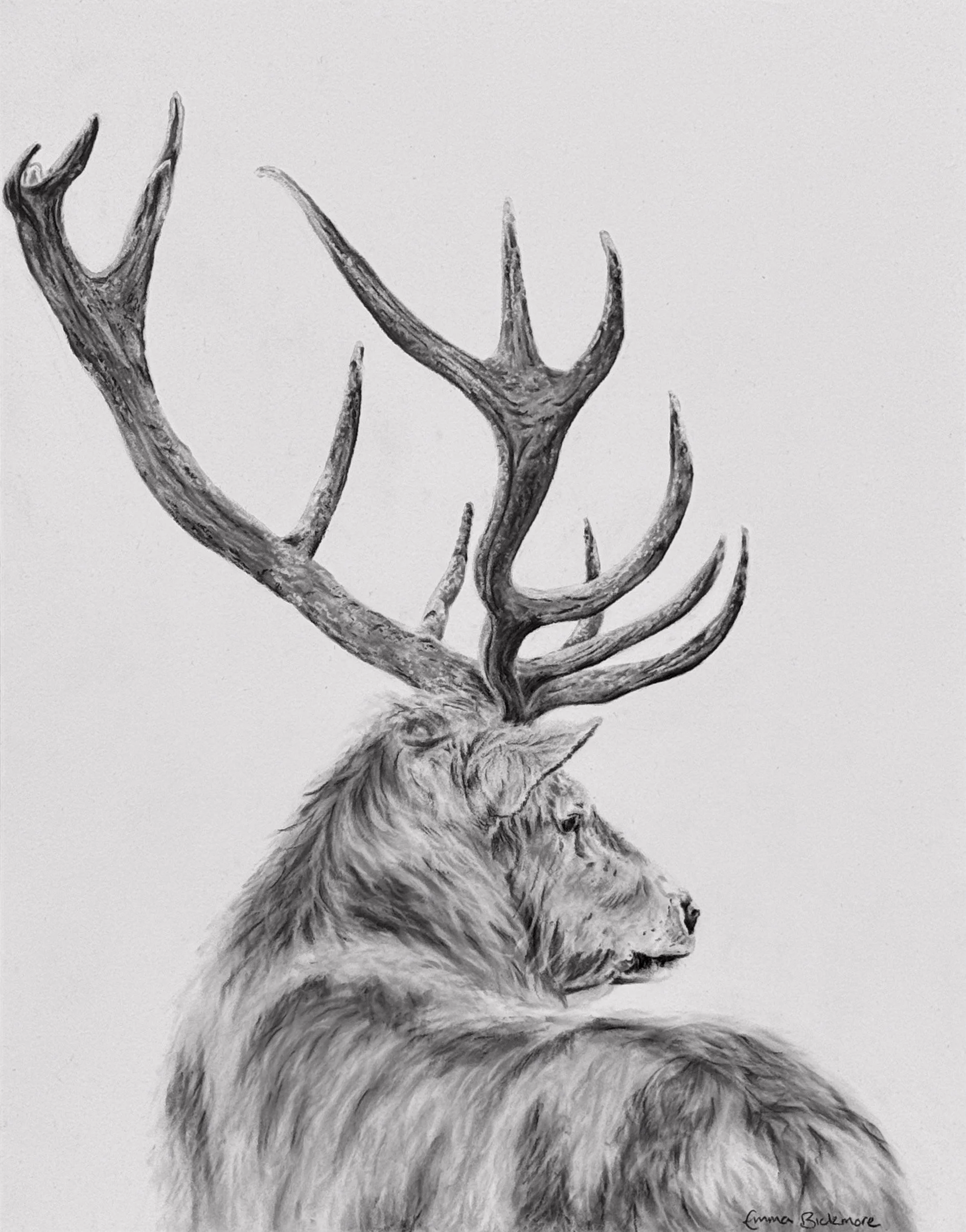 IMPERIAL STAG