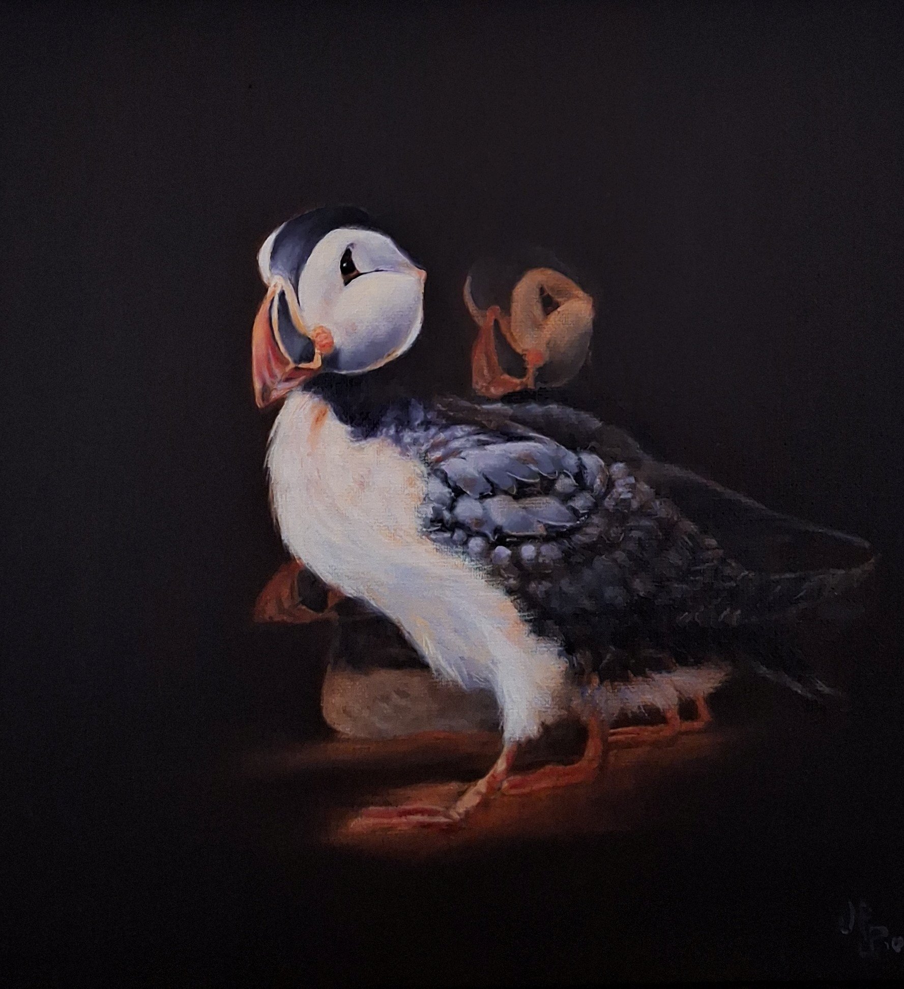 LITTLE BIRDS