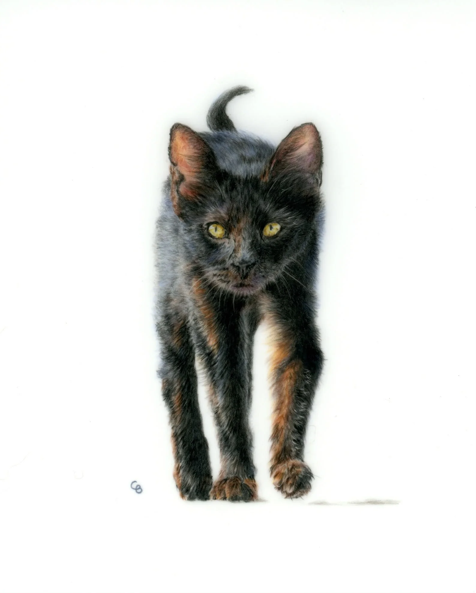 ON THE PROWL