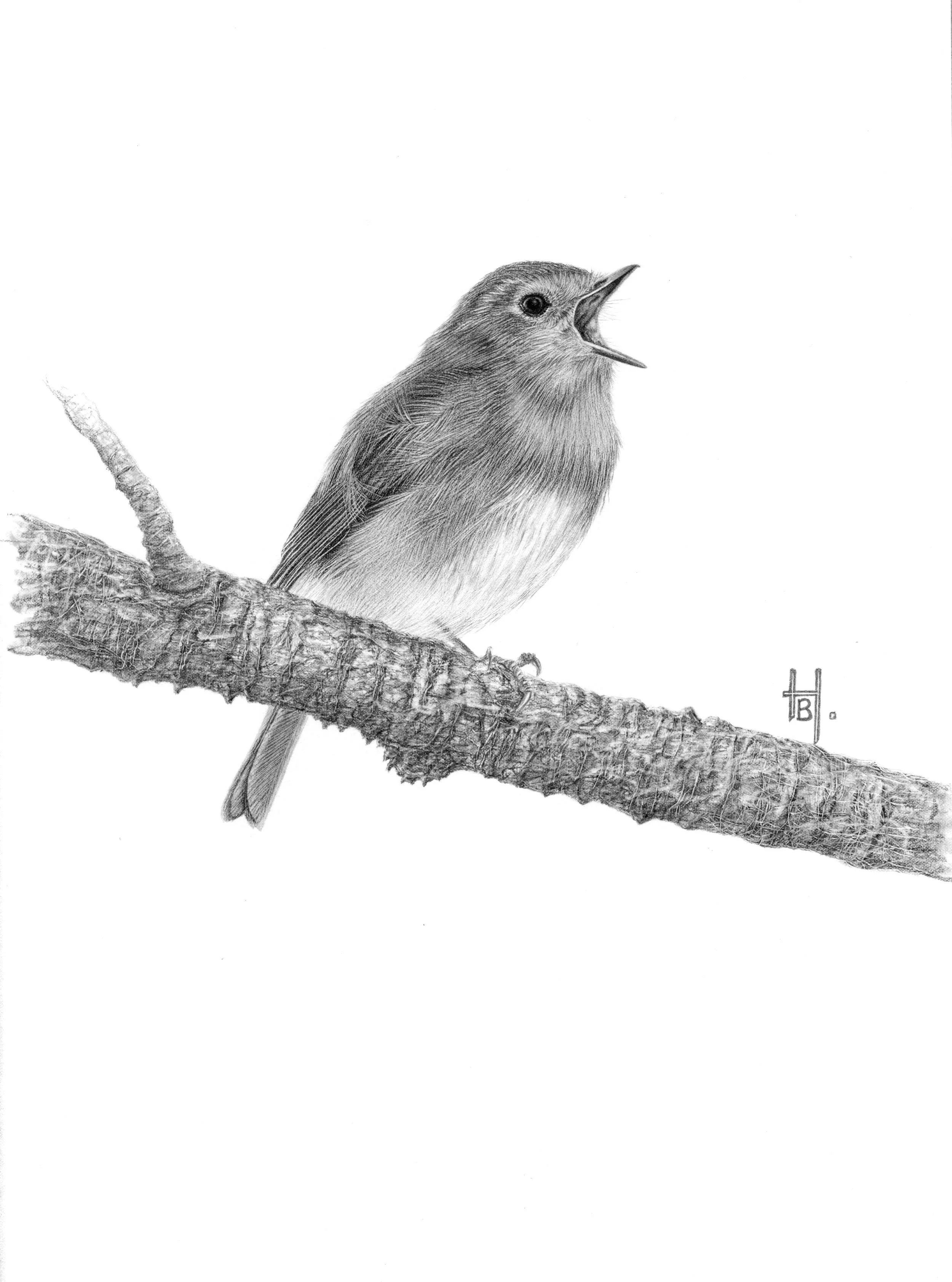 ROBIN SONG