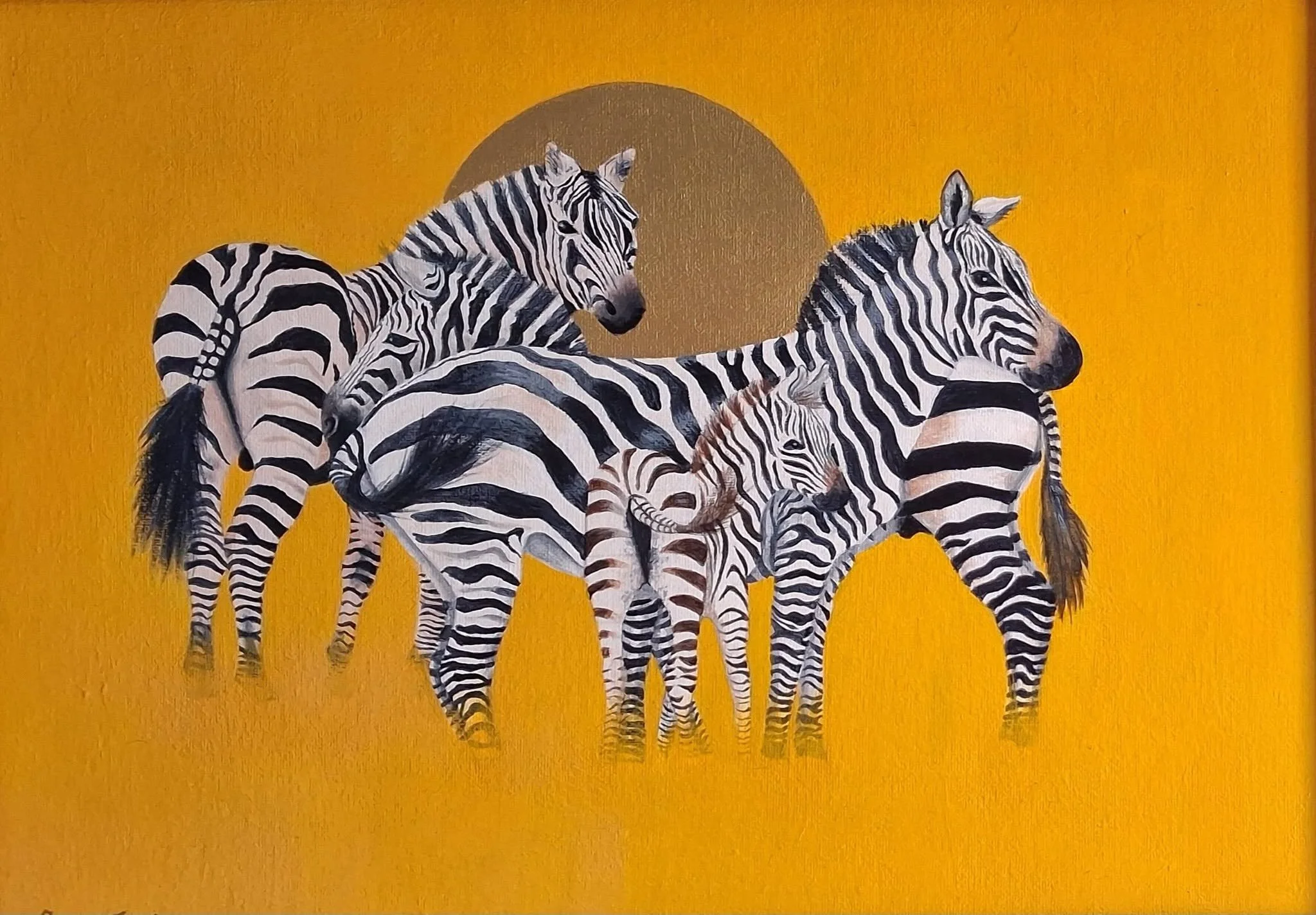 ZEBRAS