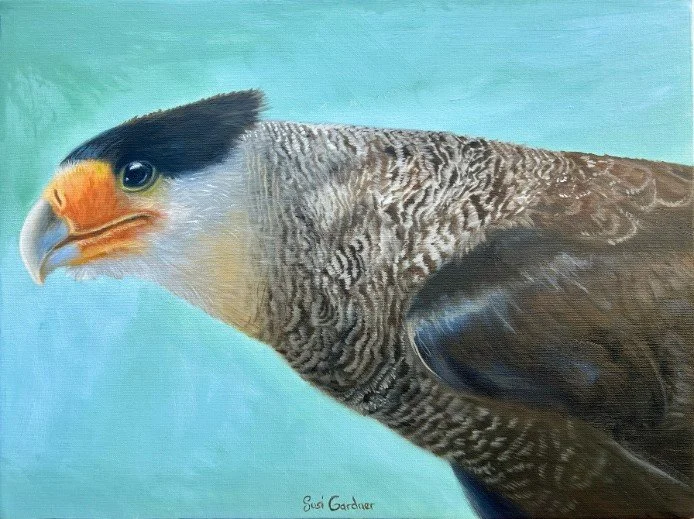 CARACARA