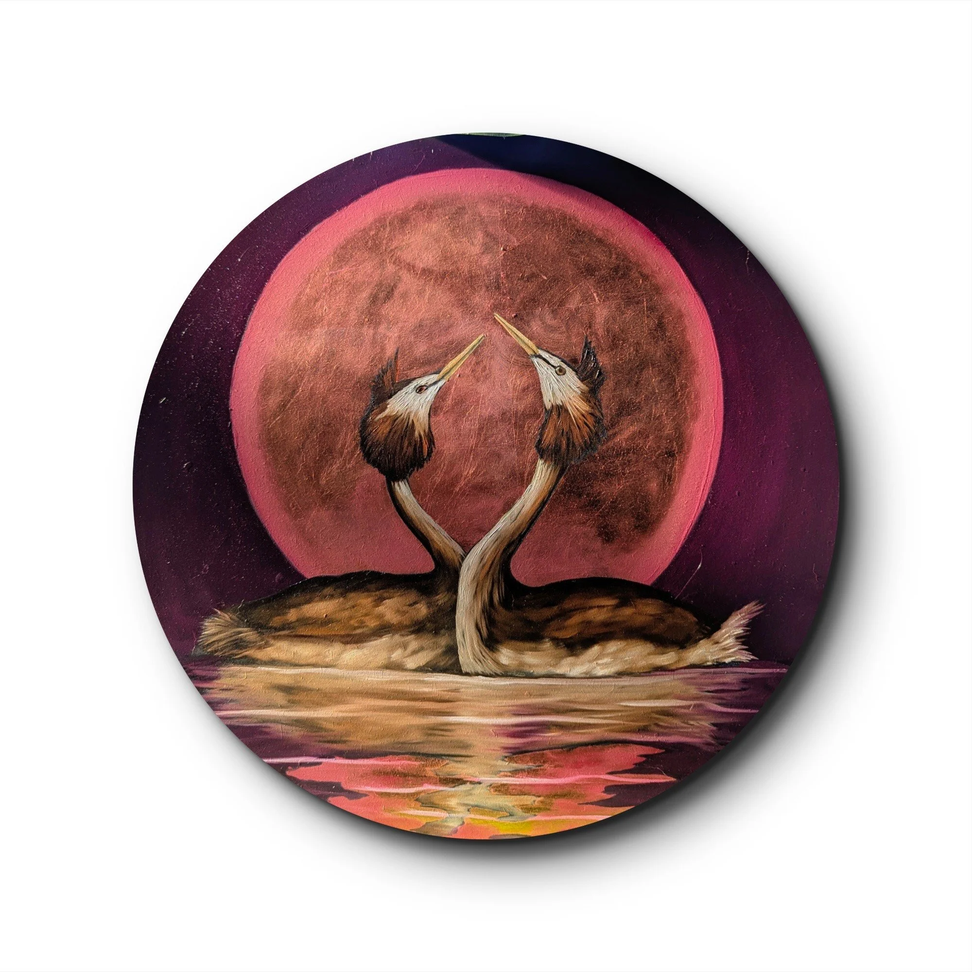 DANCE OF THE GREBES