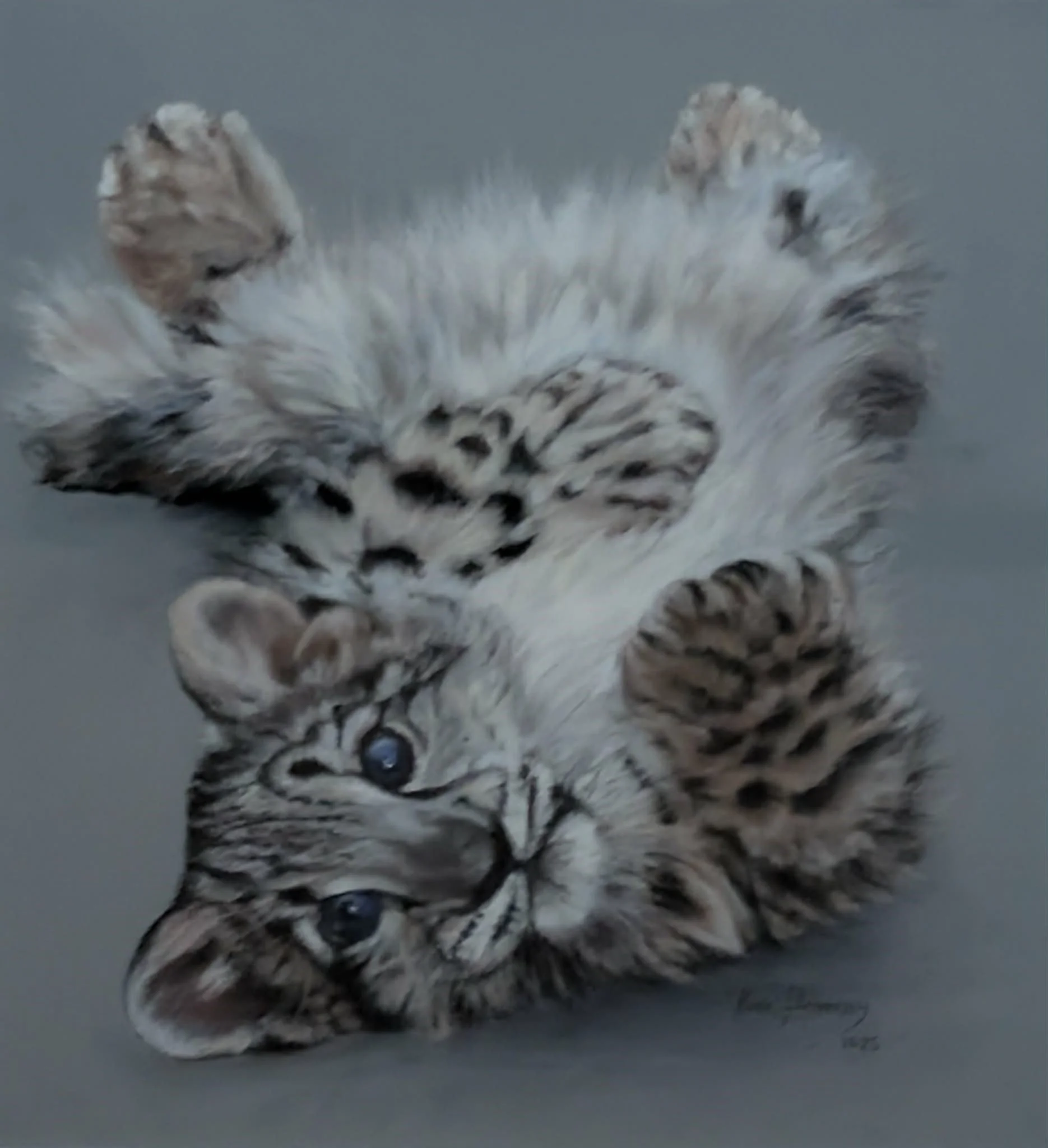 PLAYFUL SPIRIT