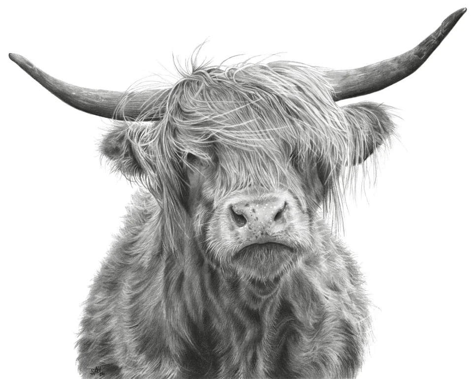 HIGHLAND DREAMS