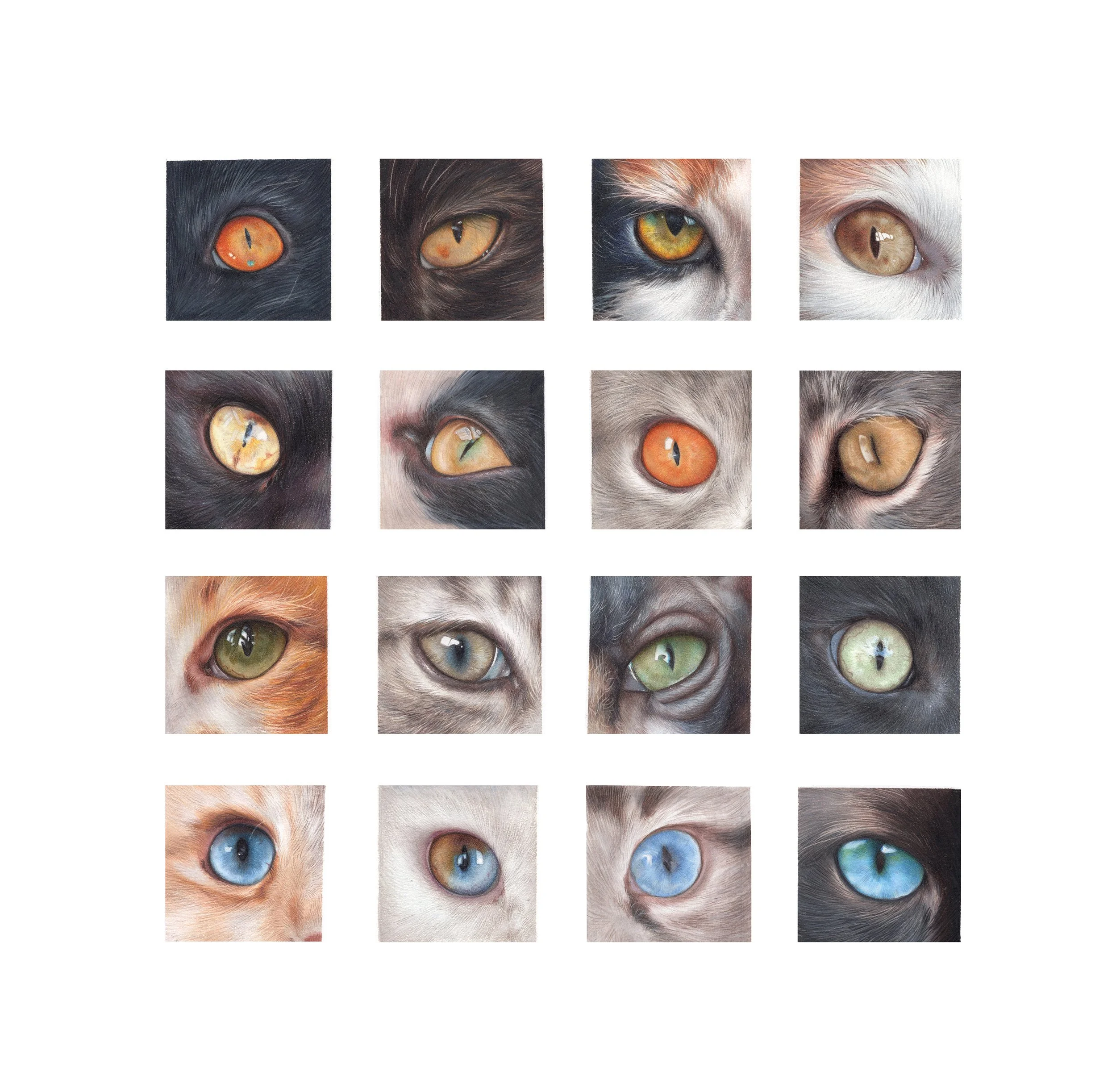 CAT EYE COLLECTION