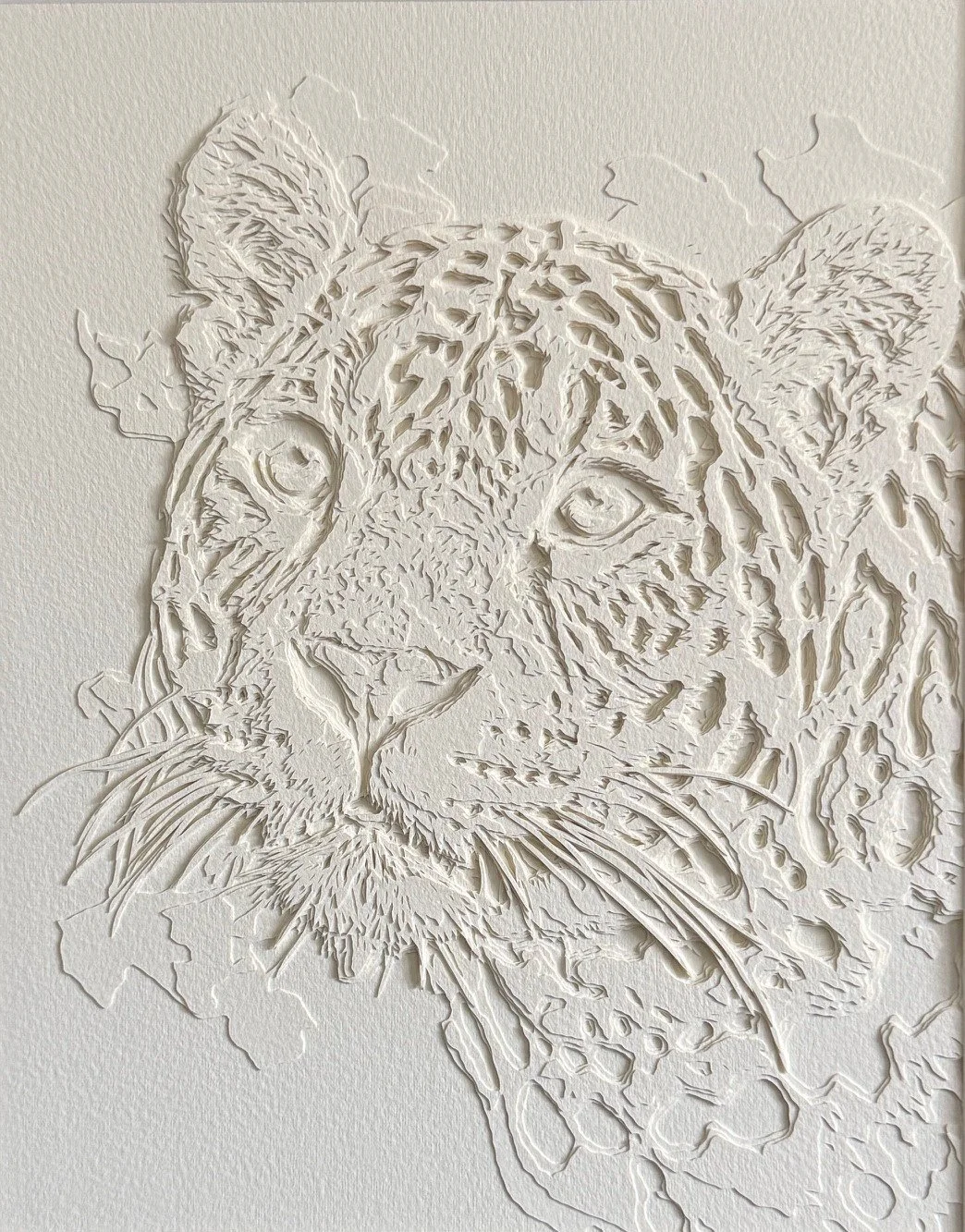 JAGUAR IN CREAM