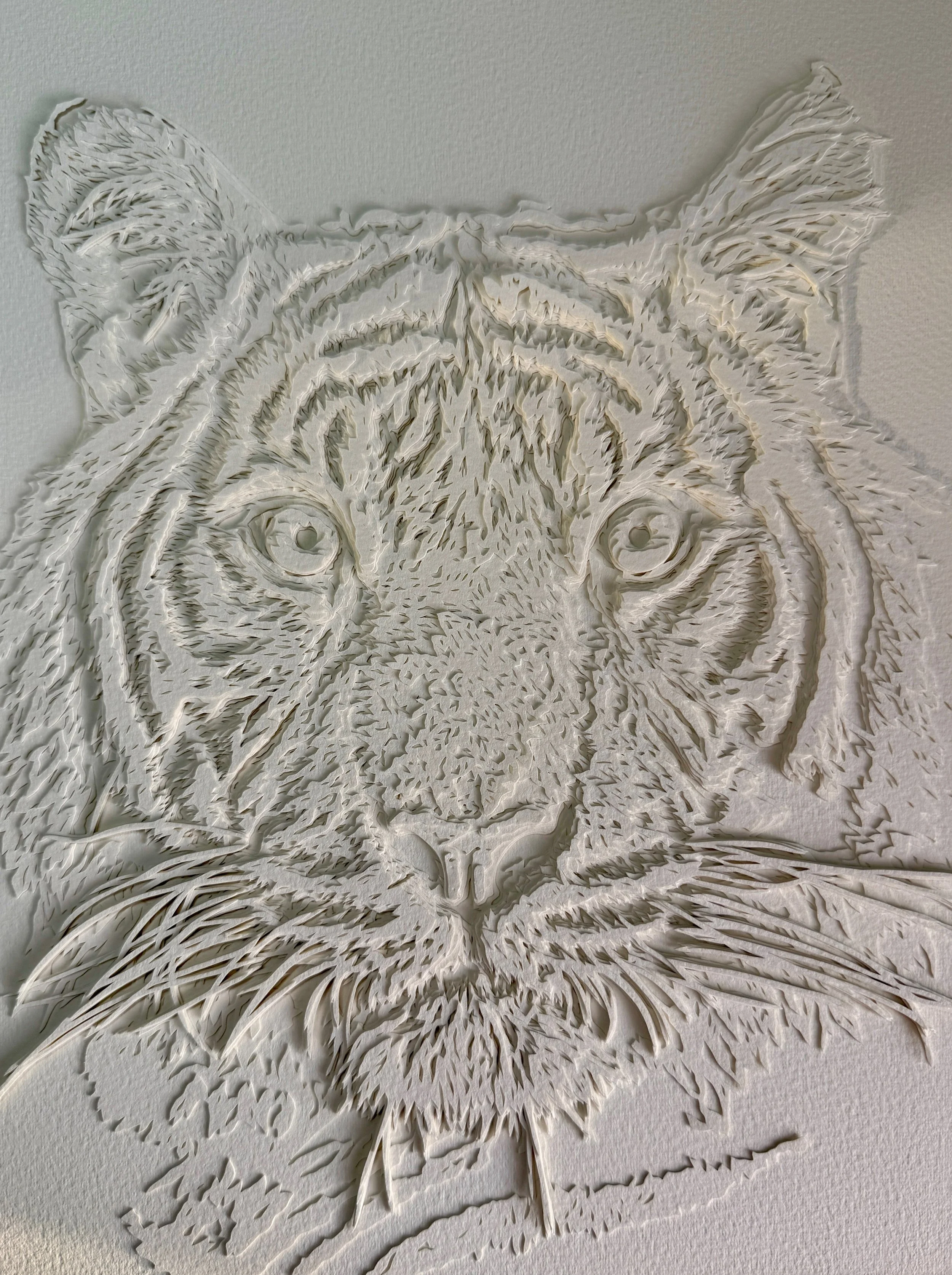 TIGER IN CREAM