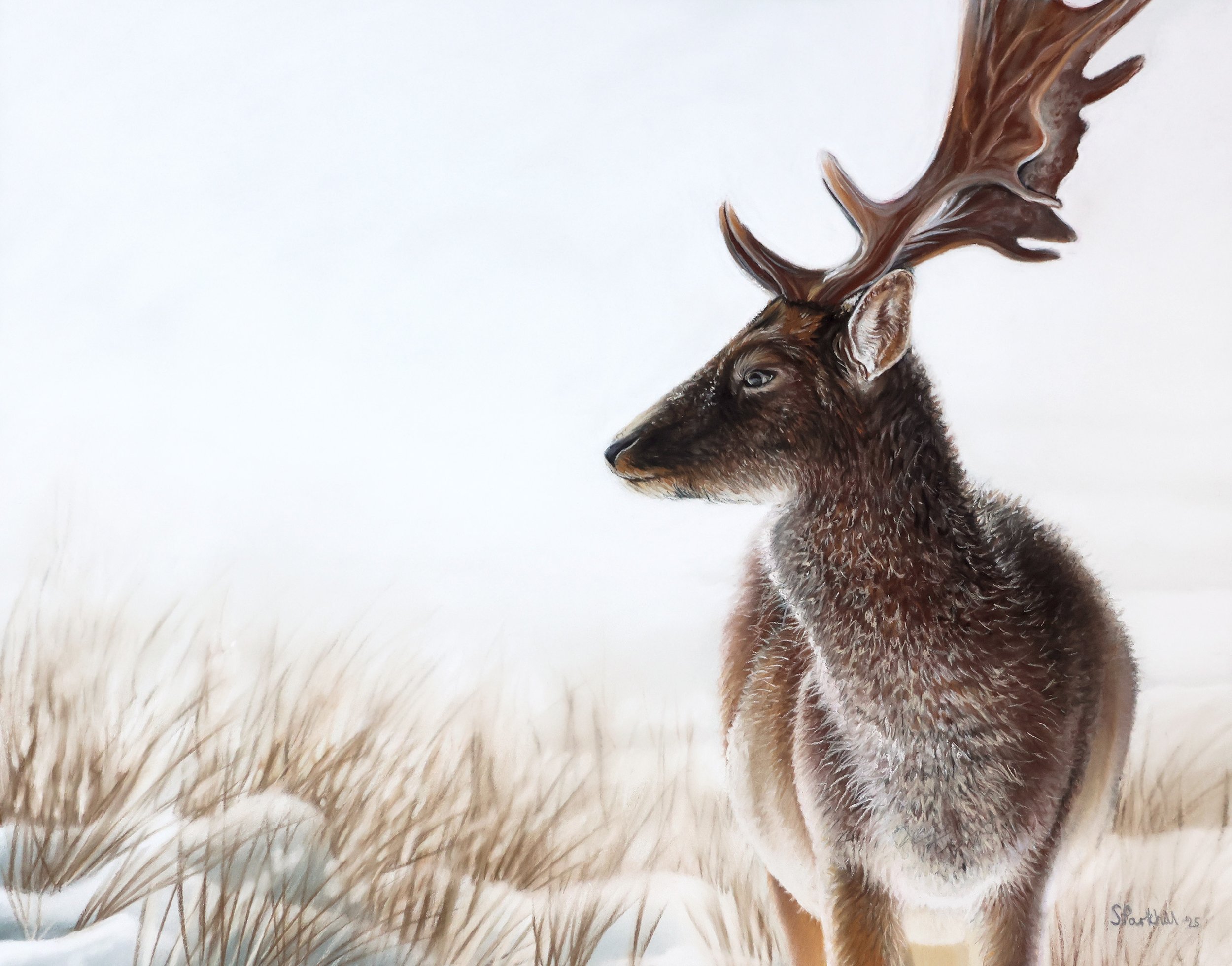 A WINTER'S MORNING