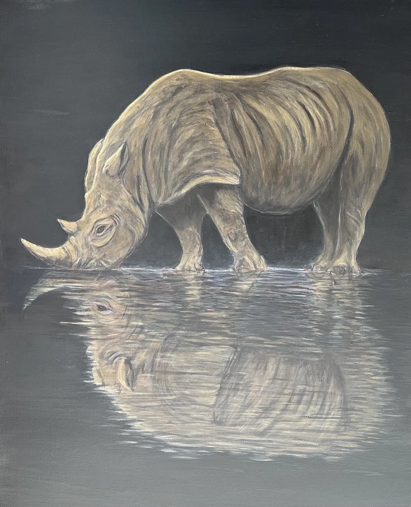 THE WHITE RHINO