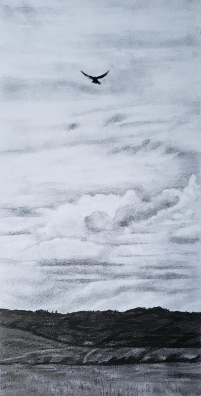 SOARING