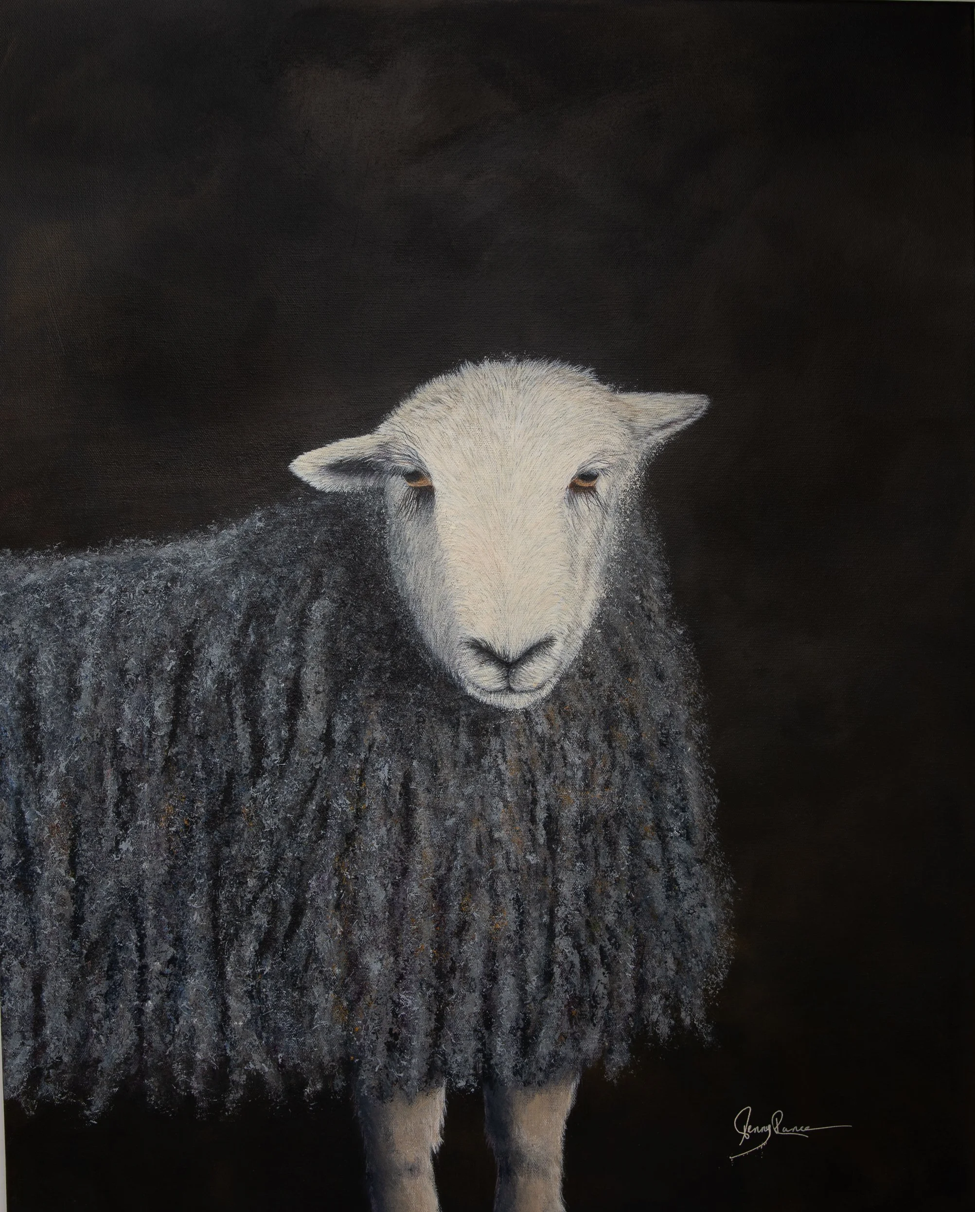 WHAT ARE EWE LOOKING AT?