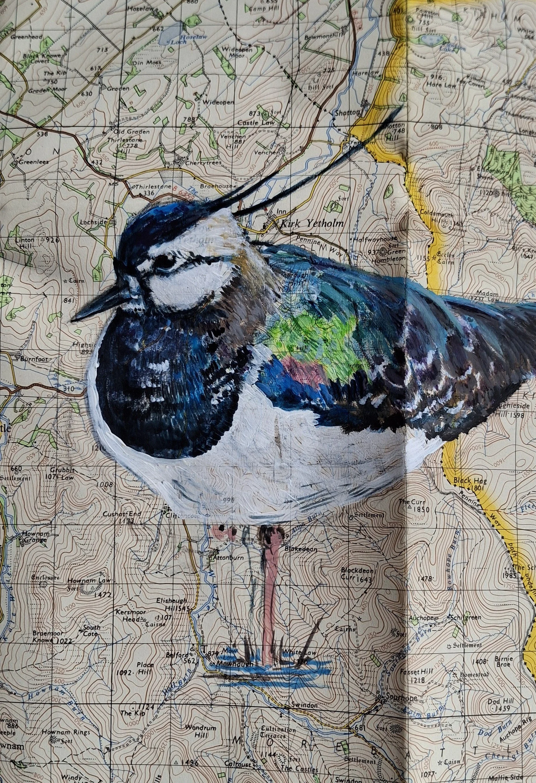 LAPWING
