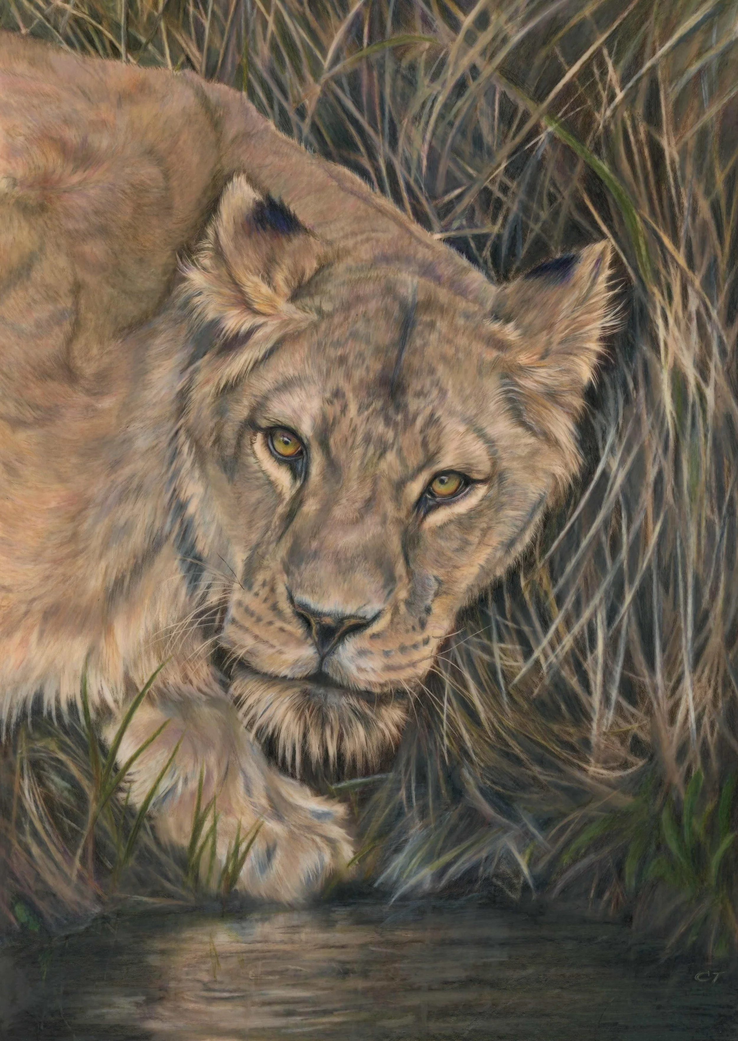 PRESENCE