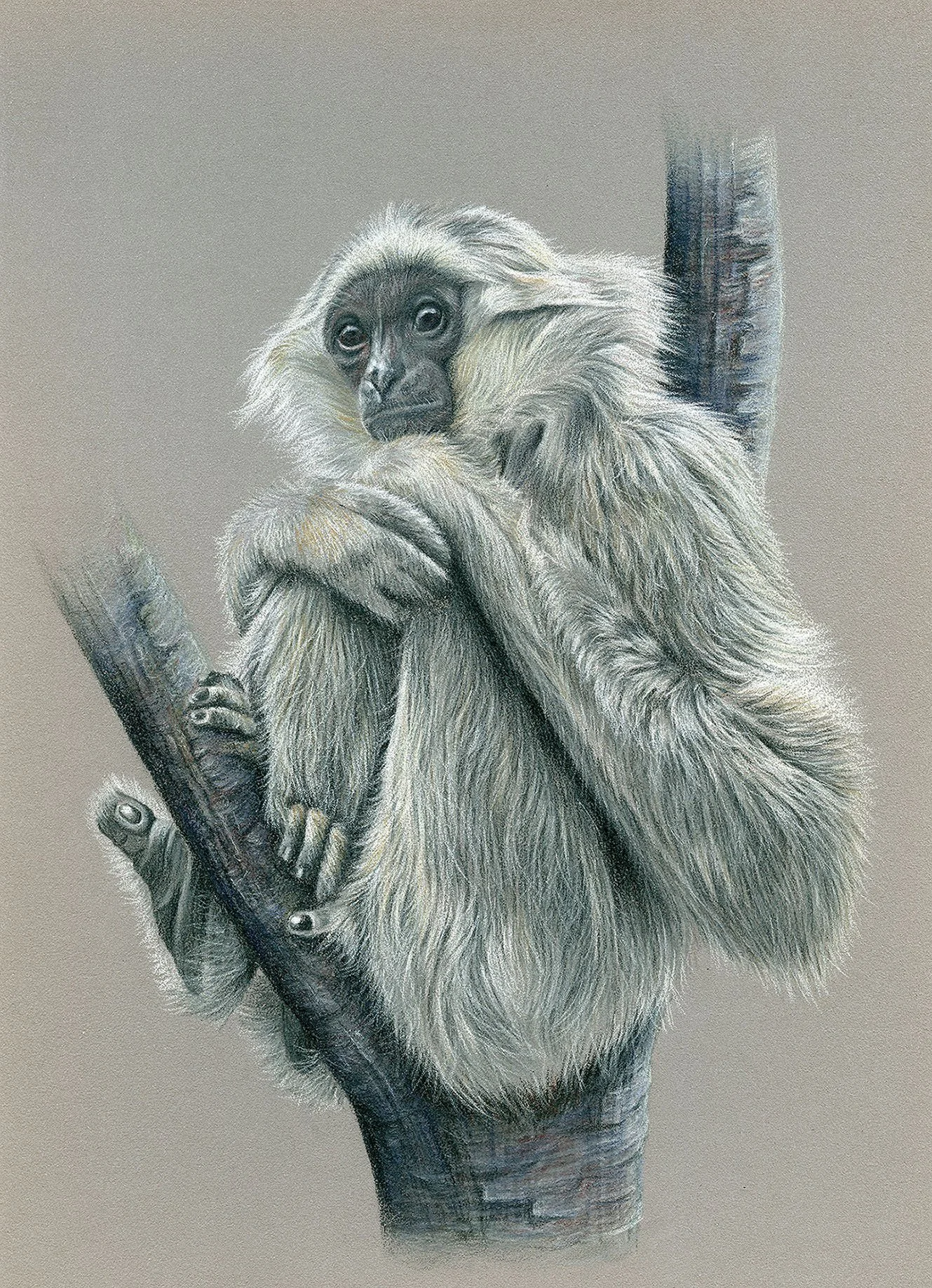 CONTEMPLATING