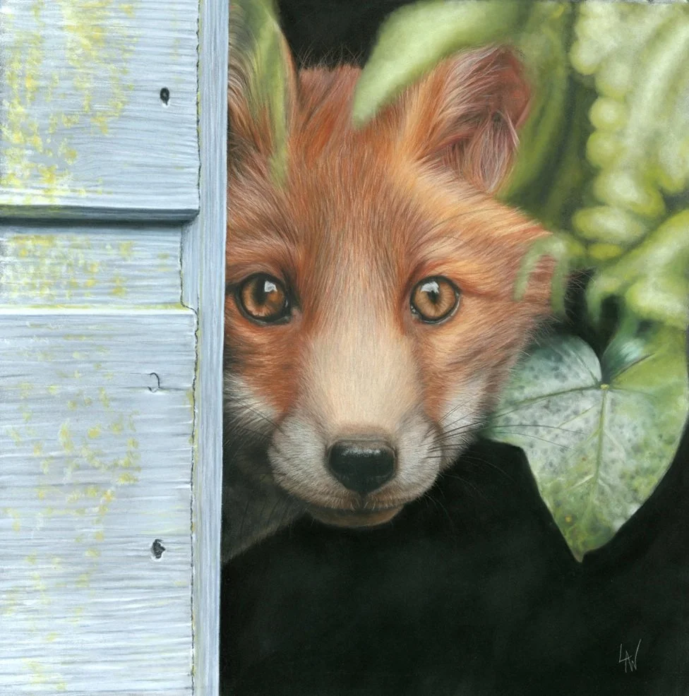 FIRST ENCOUNTER