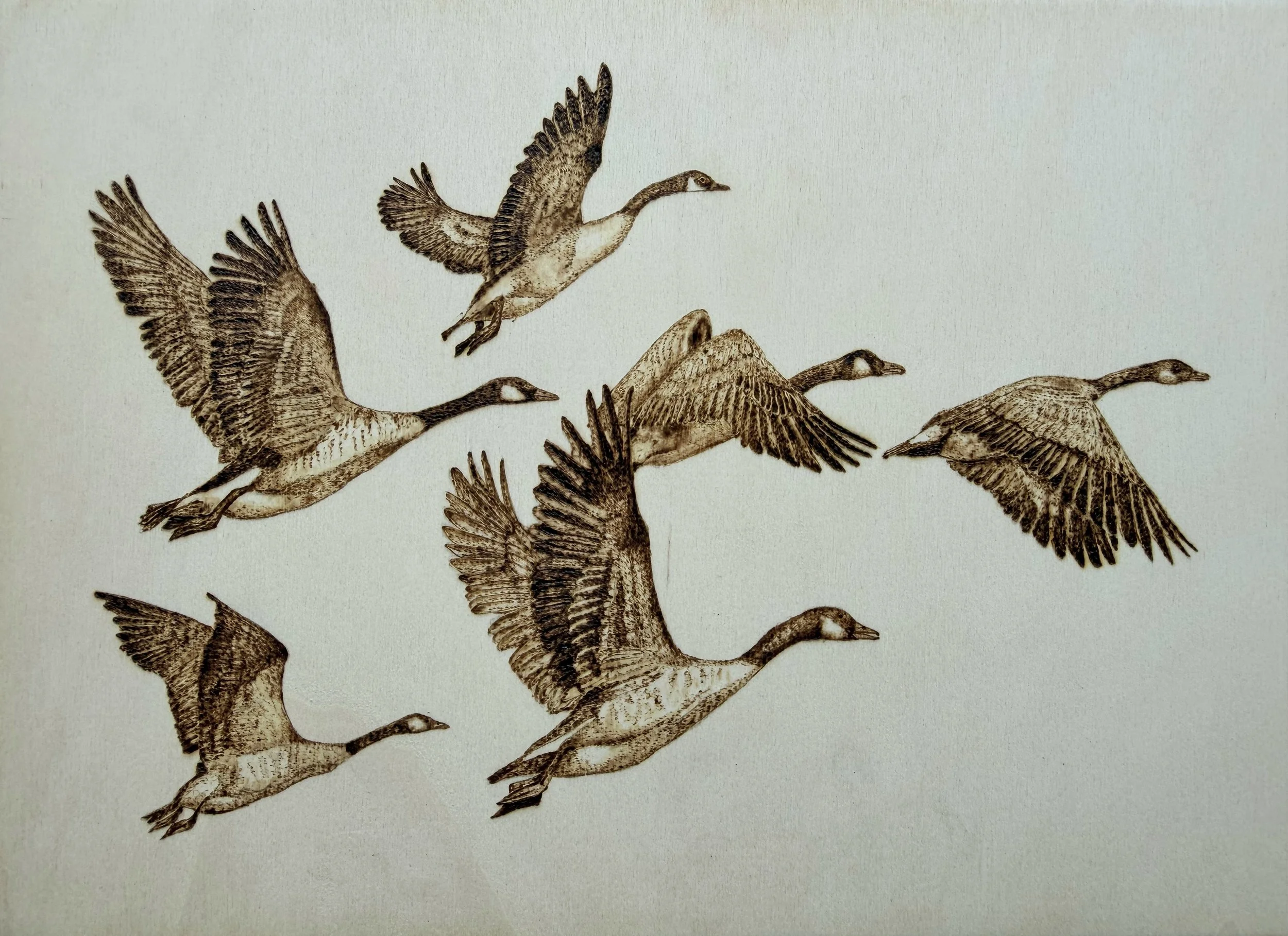 MORNING MIGRATION