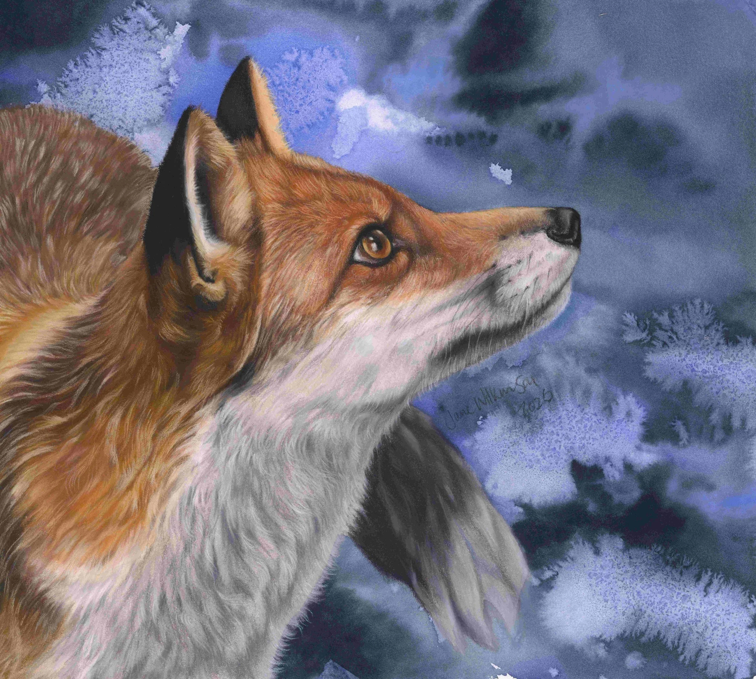 WHAT CAN YOU SEE MR.FOX?