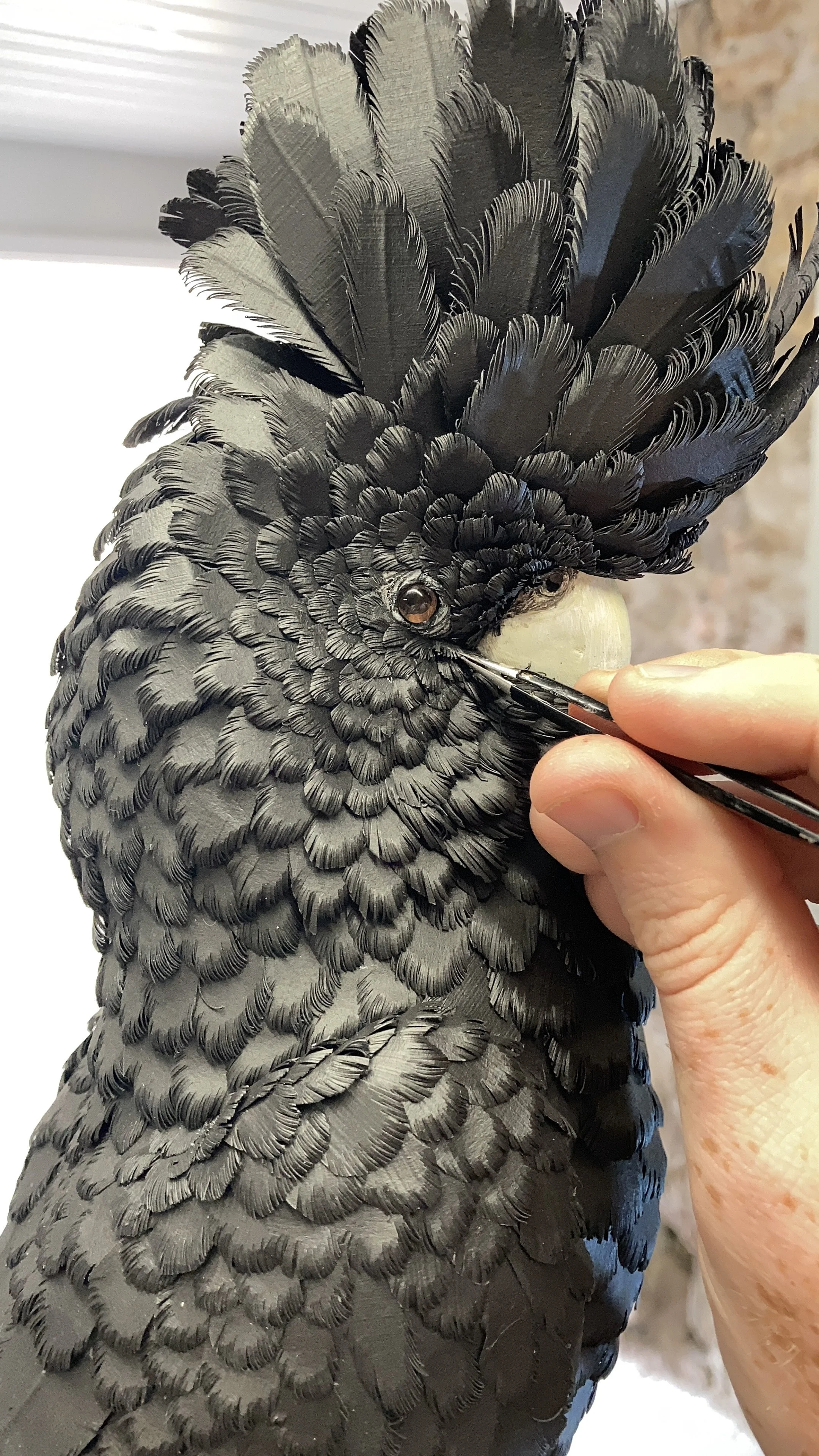 Jamie Lord working on his paper patina sculpture "Regalia", a red-tailed black cockatoo