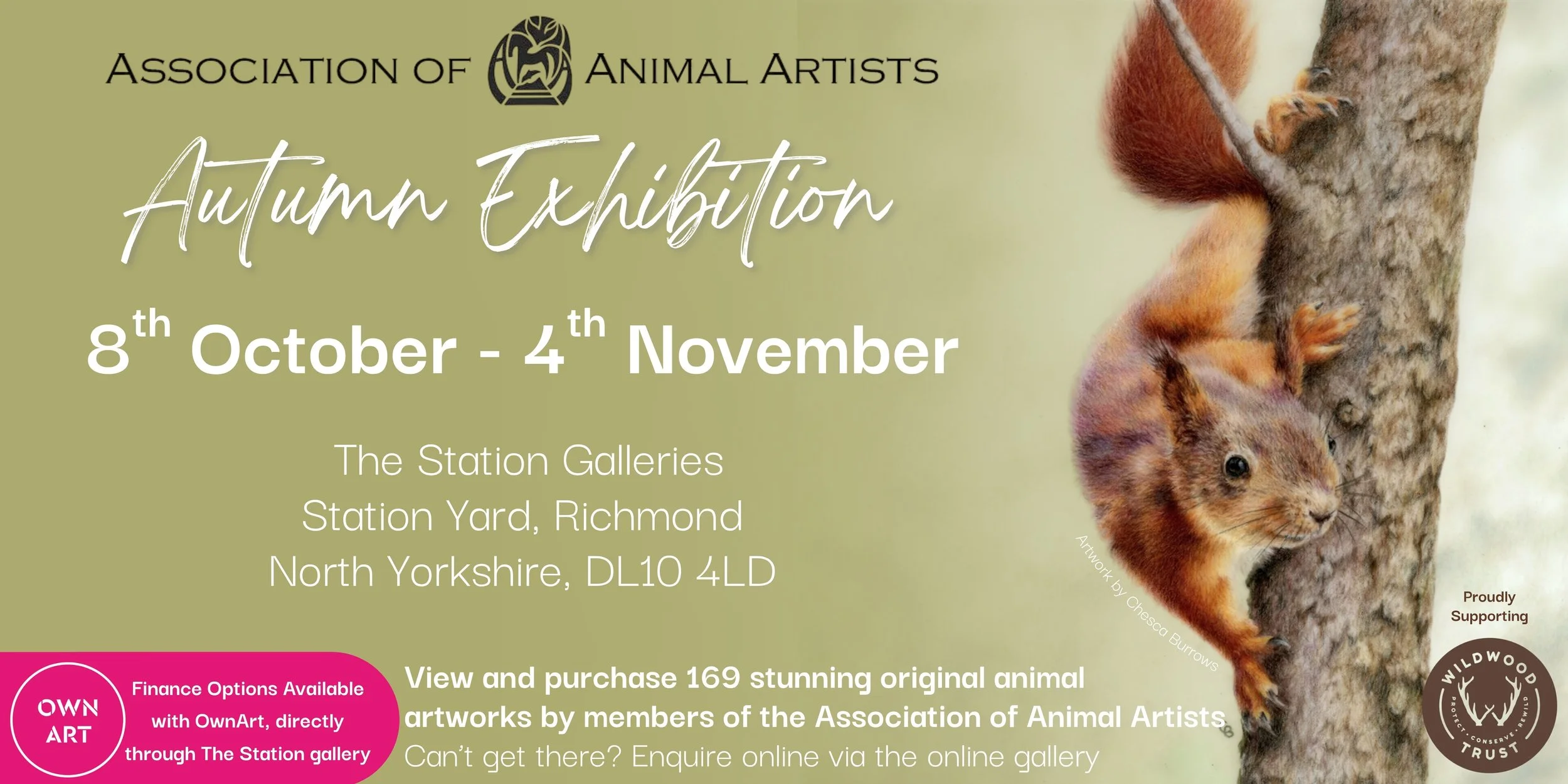 Association of Animal Artists Autumn Exhibition poster for The Station, featuring Chesca Burrows red squirrel drawing