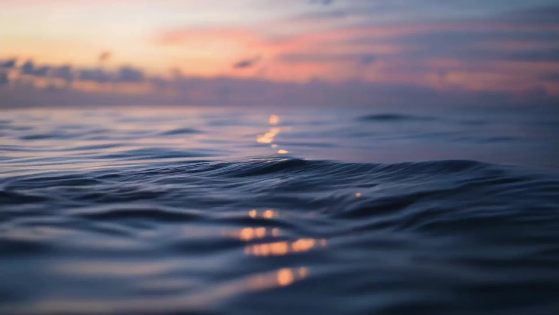 Horizon compressed frame.jpg