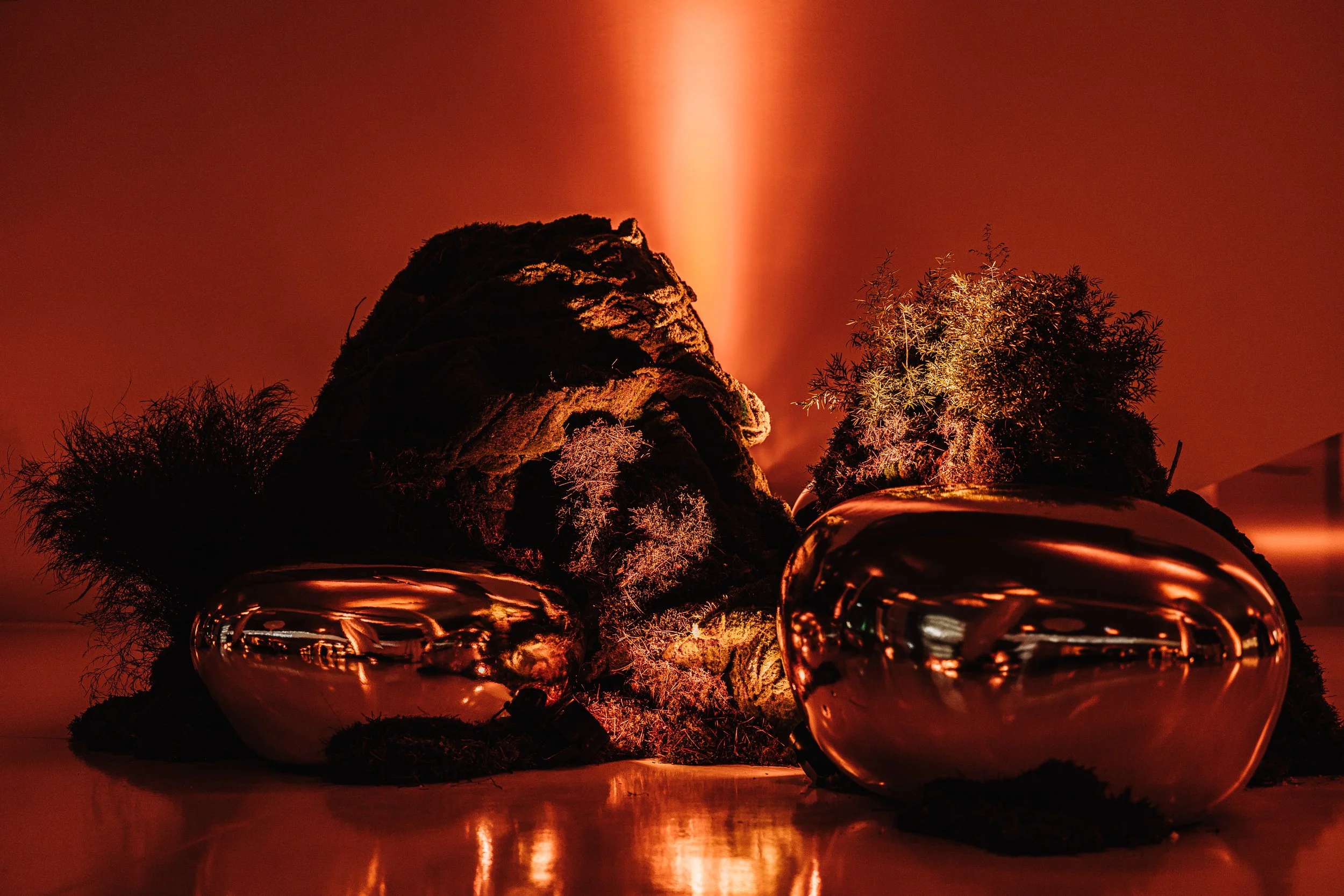 ABLight - Mokslo sala - 2024-12-12-7.jpg