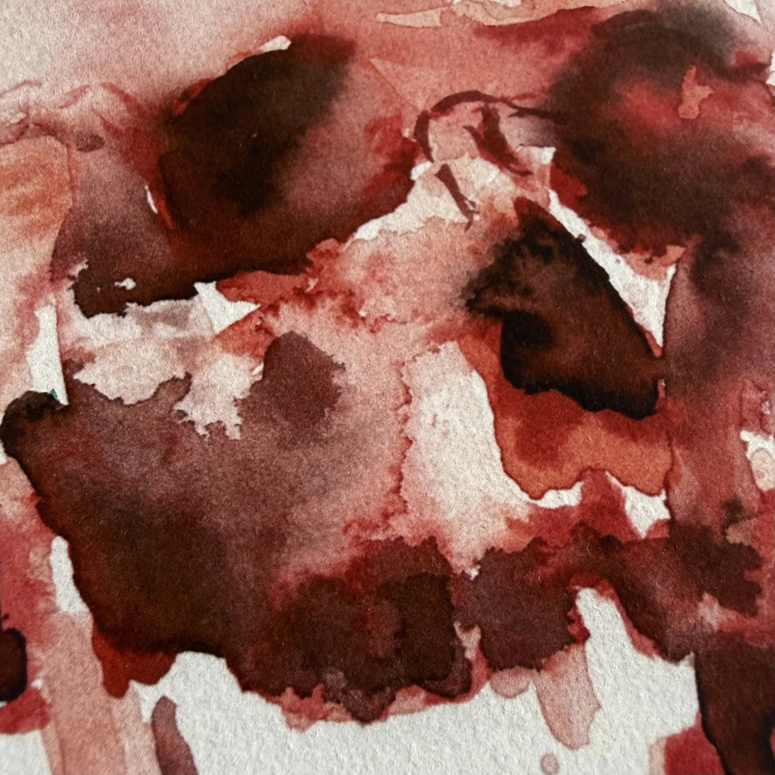 Robert O'Brien Skull Print 4.jpg