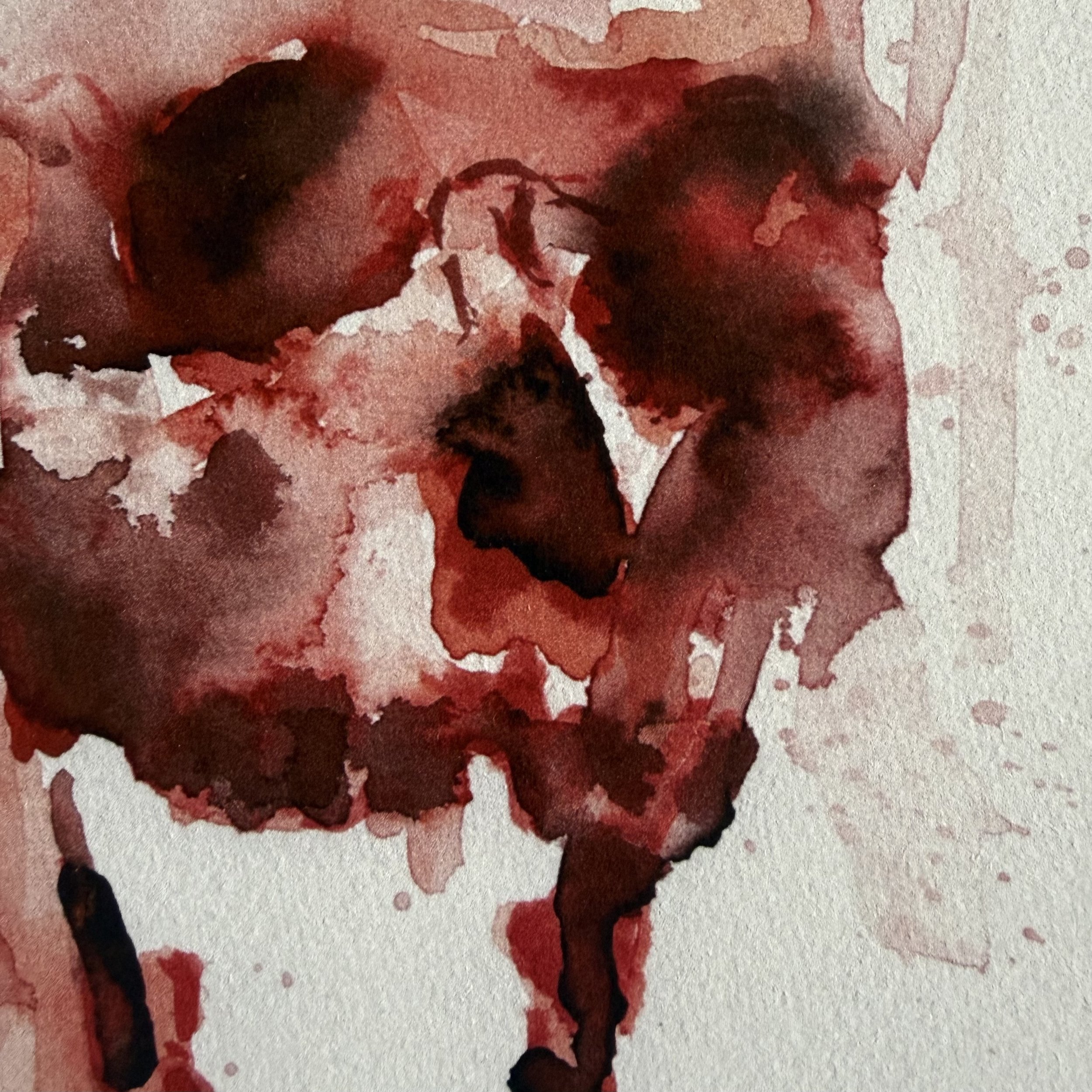 Robert O'Brien Skull Print 2.jpg