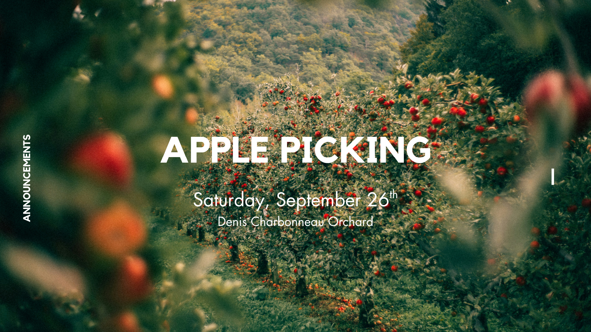Apple Picking
